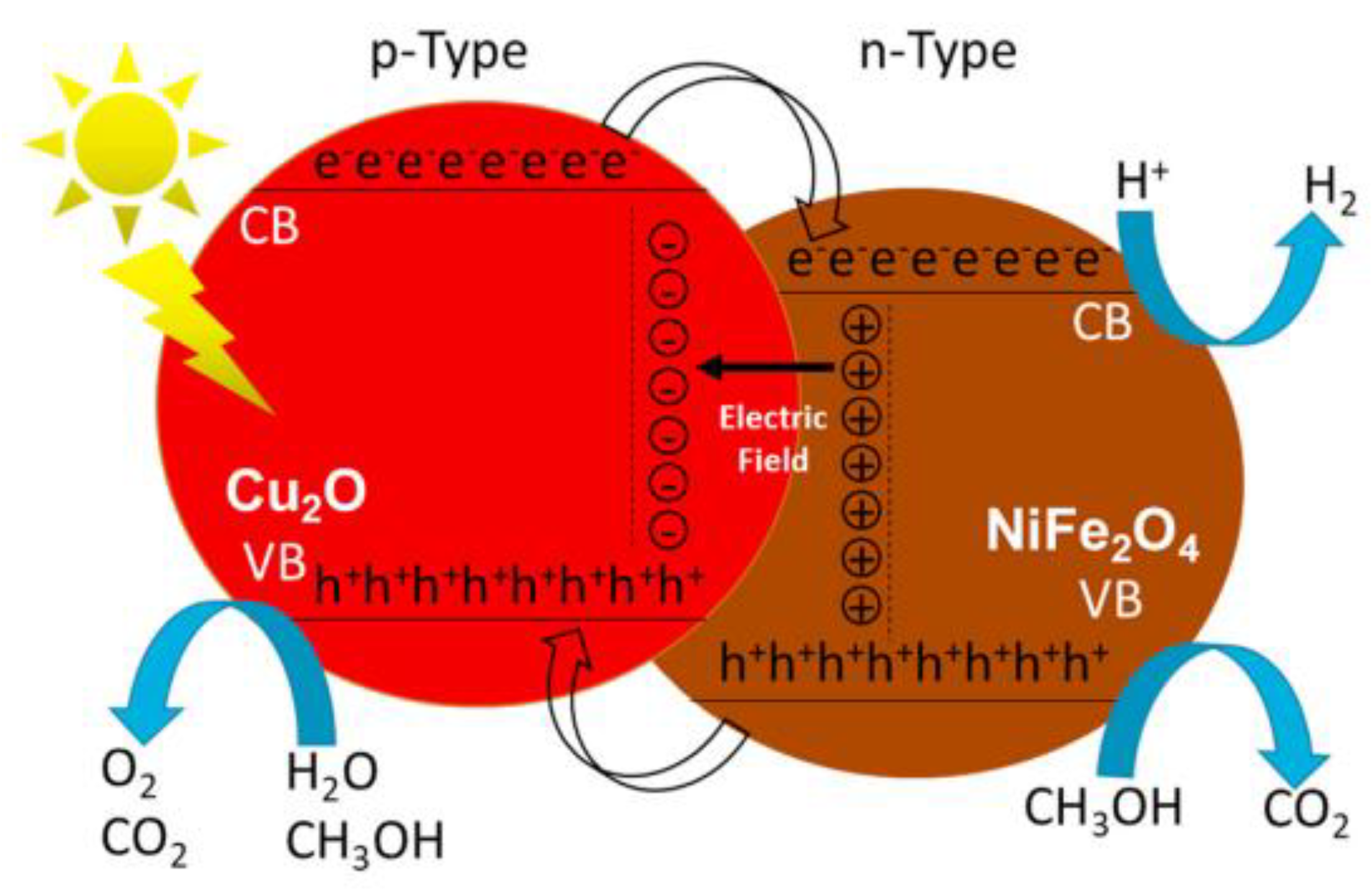 Molecules 28 05576 g009 Molecules 28 05576 g009
