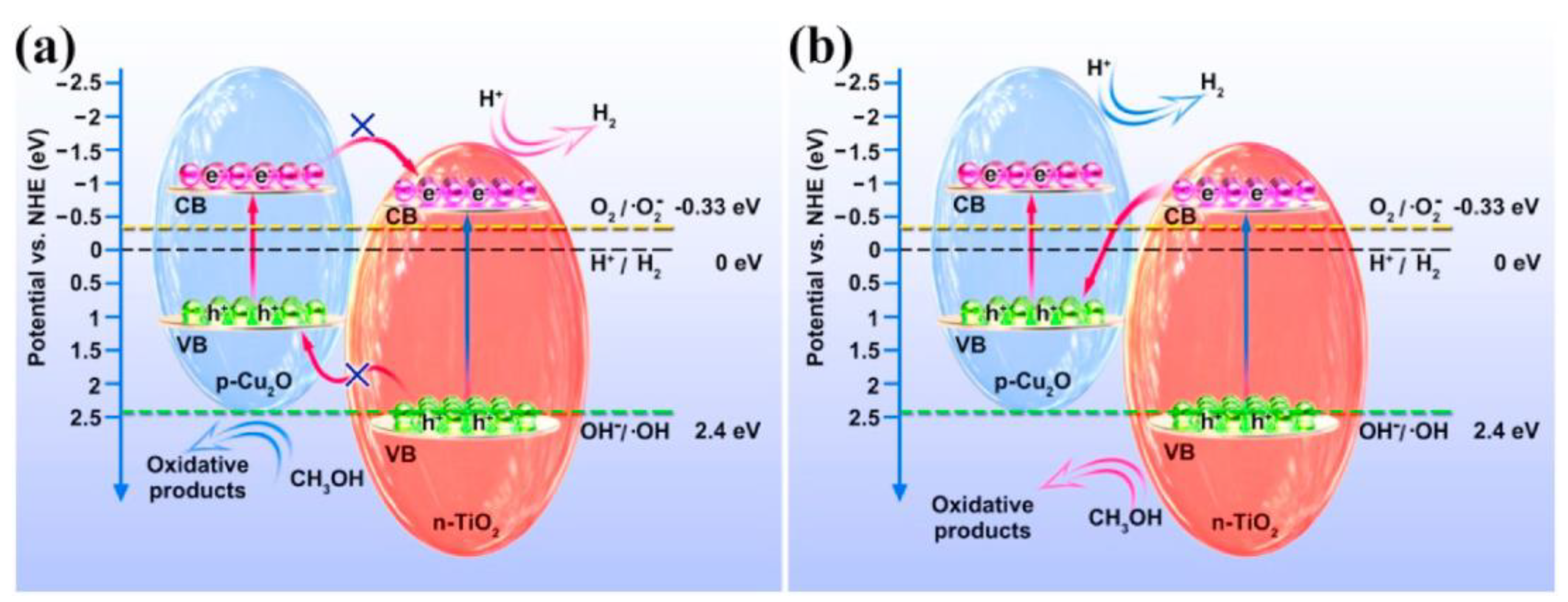 Molecules 28 05576 g010 Molecules 28 05576 g010