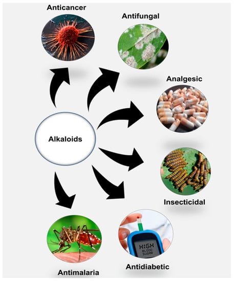 Molecules | Free Full-Text | Therapeutic Role Of Alkaloids And Alkaloid ...