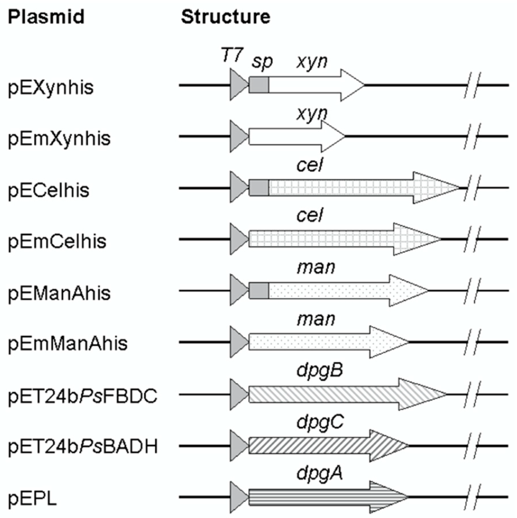 Molecules 28 05594 g001