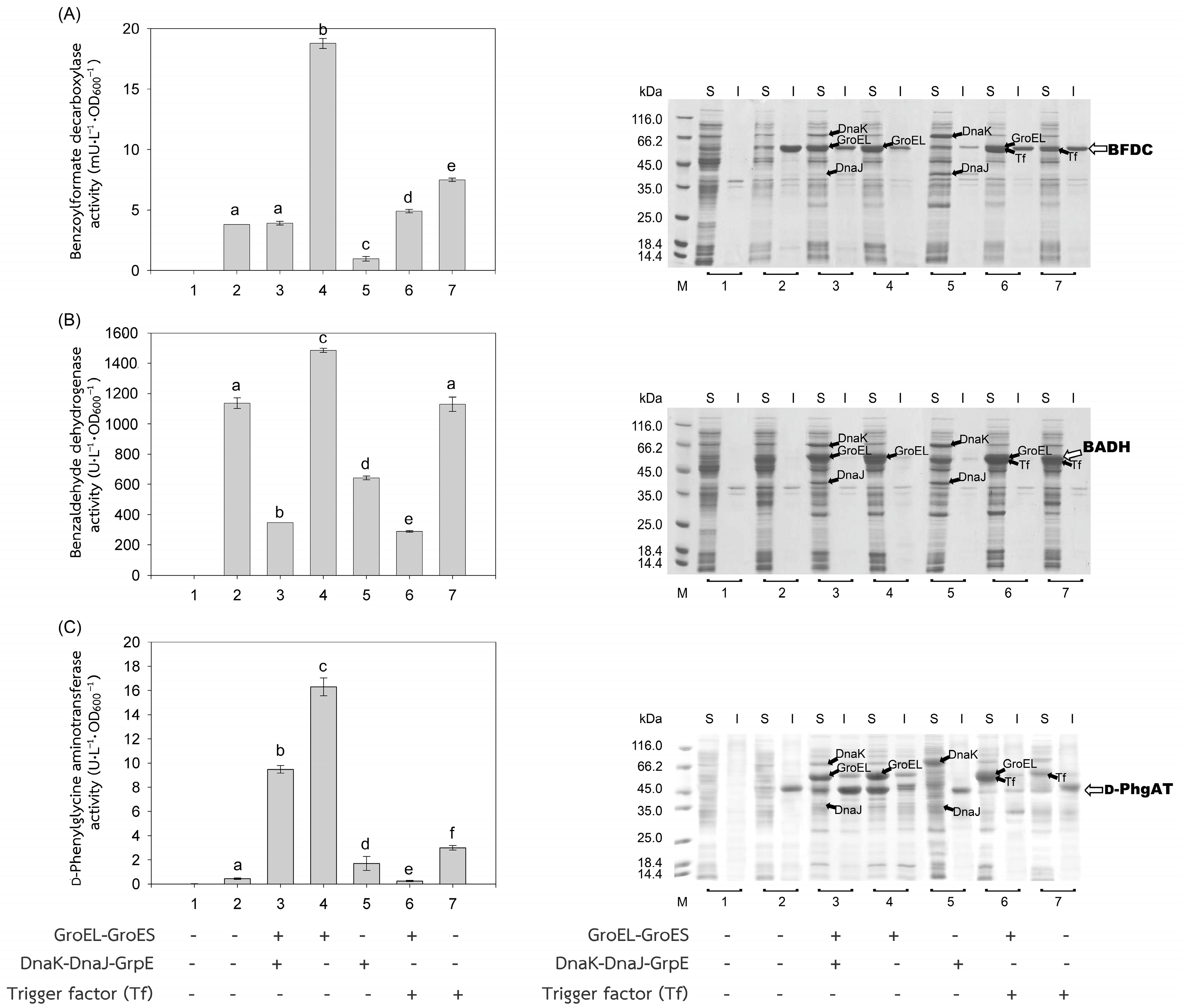 Molecules 28 05594 g003