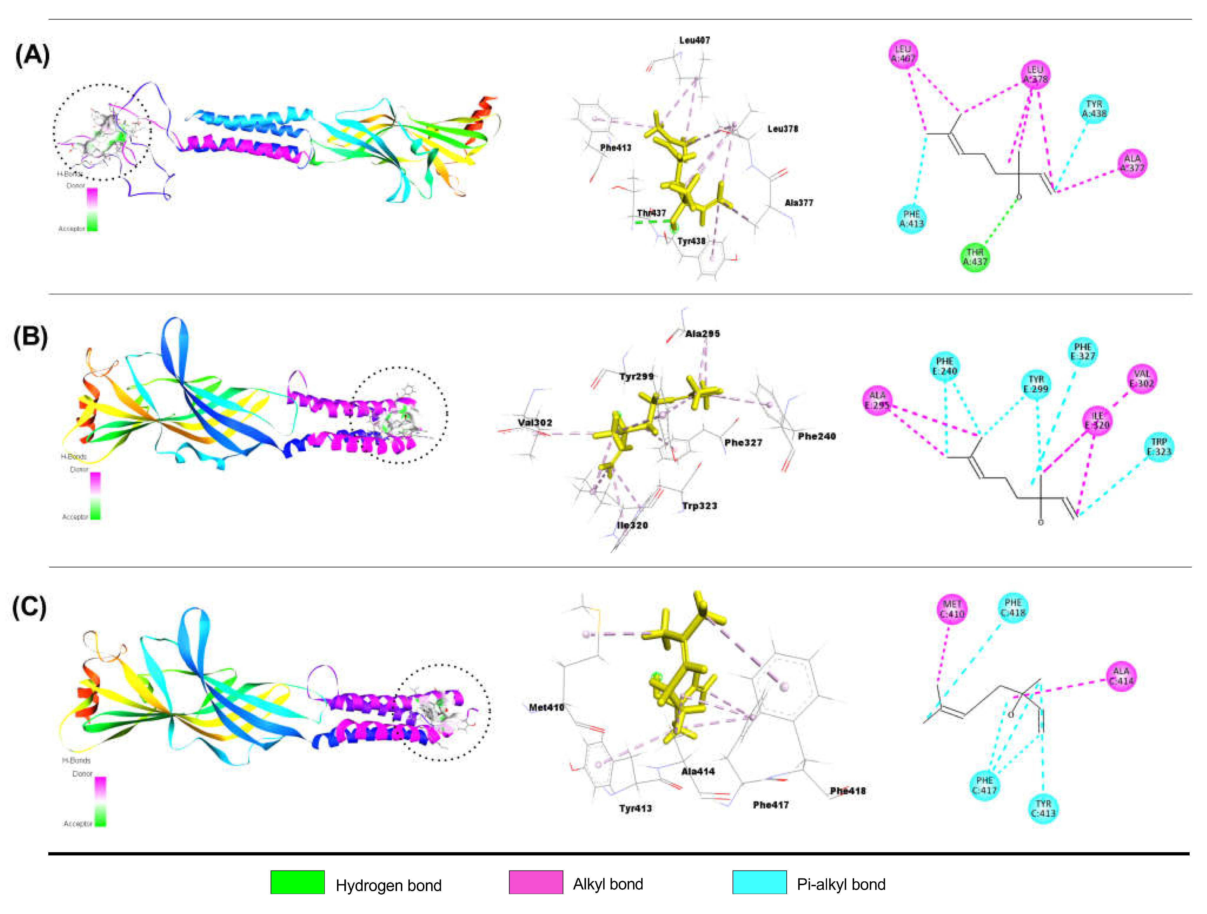 Exploring the active ingredients and mechanism of qianglidingxuan tablets  for vertigo based on network pharmacology and molecular docking -  ScienceDirect