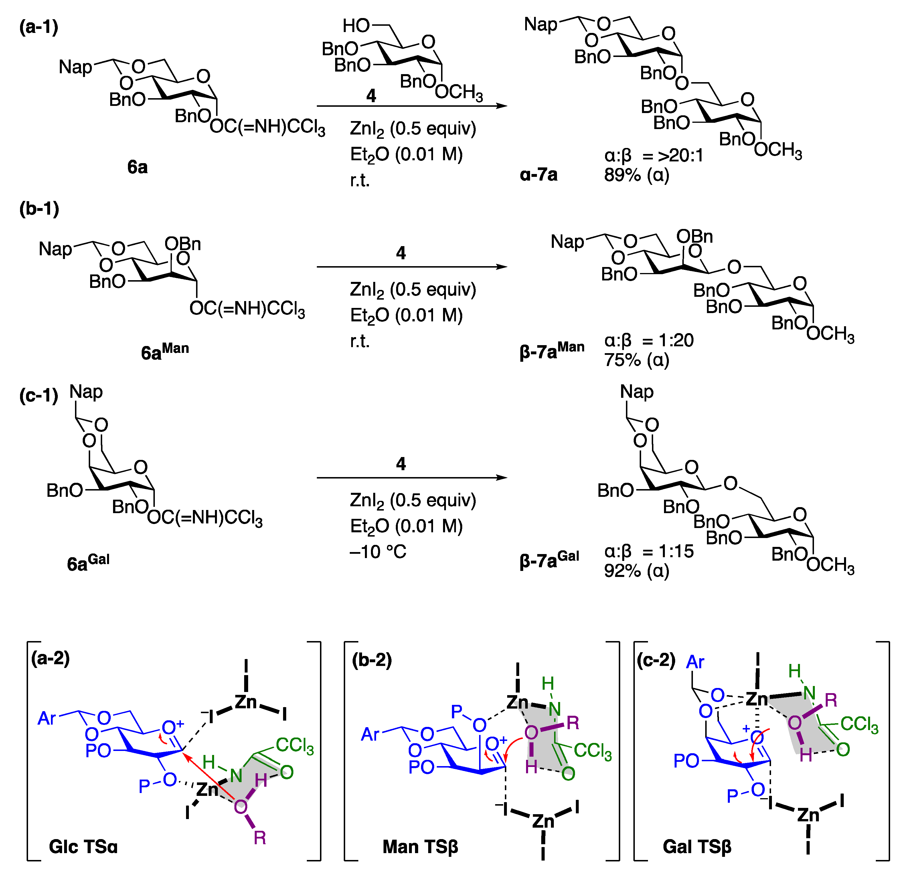 Molecules 28 05644 sch003 Molecules 28 05644 sch003