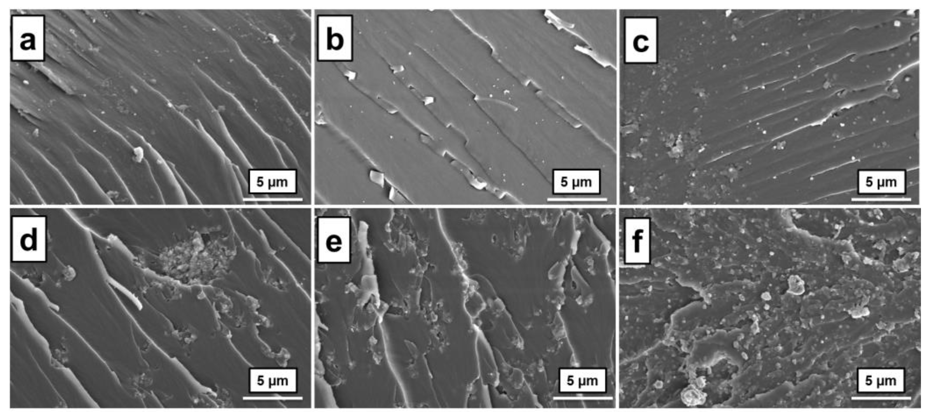 Molecules 28 05650 g002 Molecules 28 05650 g002