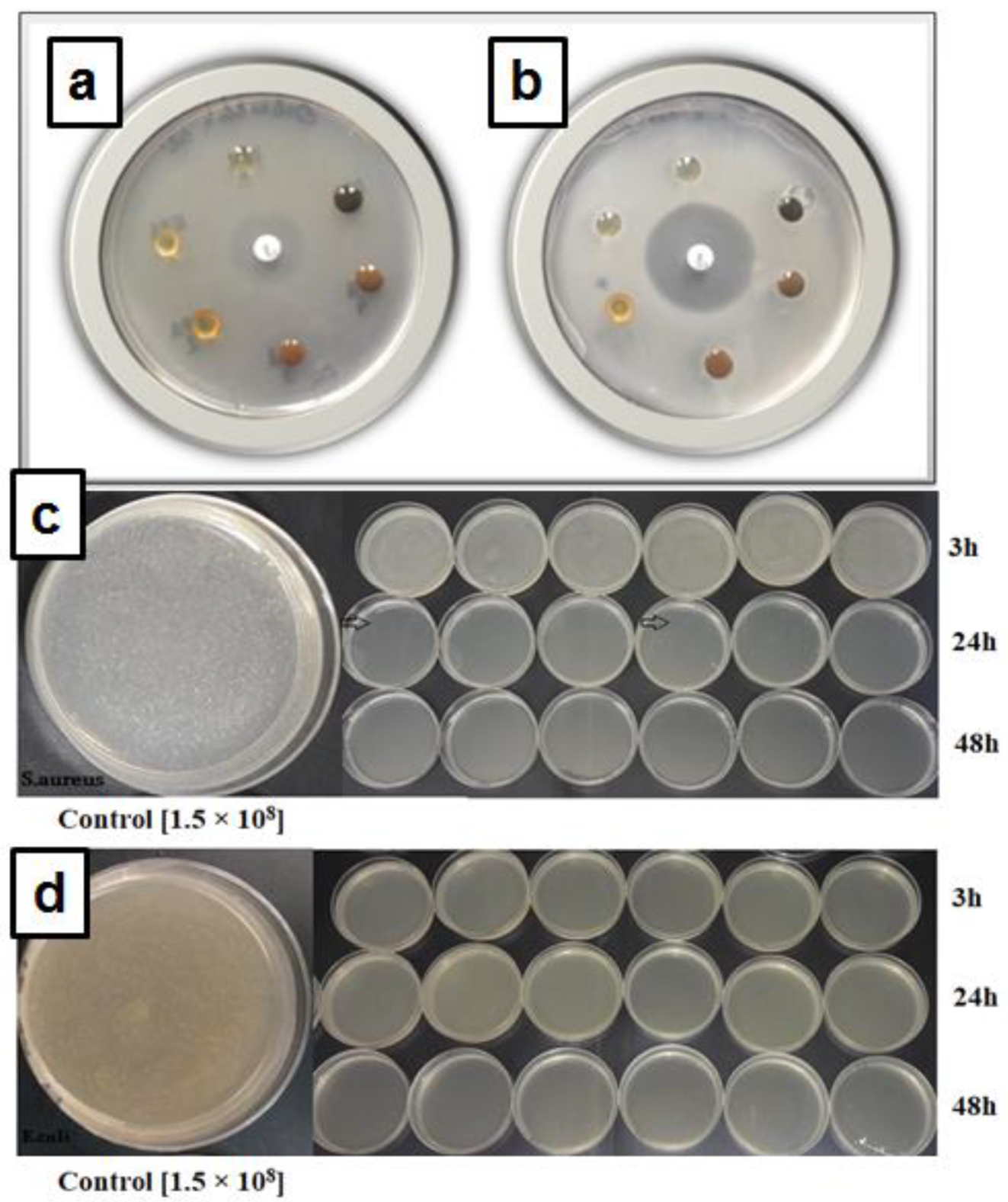 Molecules 28 05650 g007 Molecules 28 05650 g007