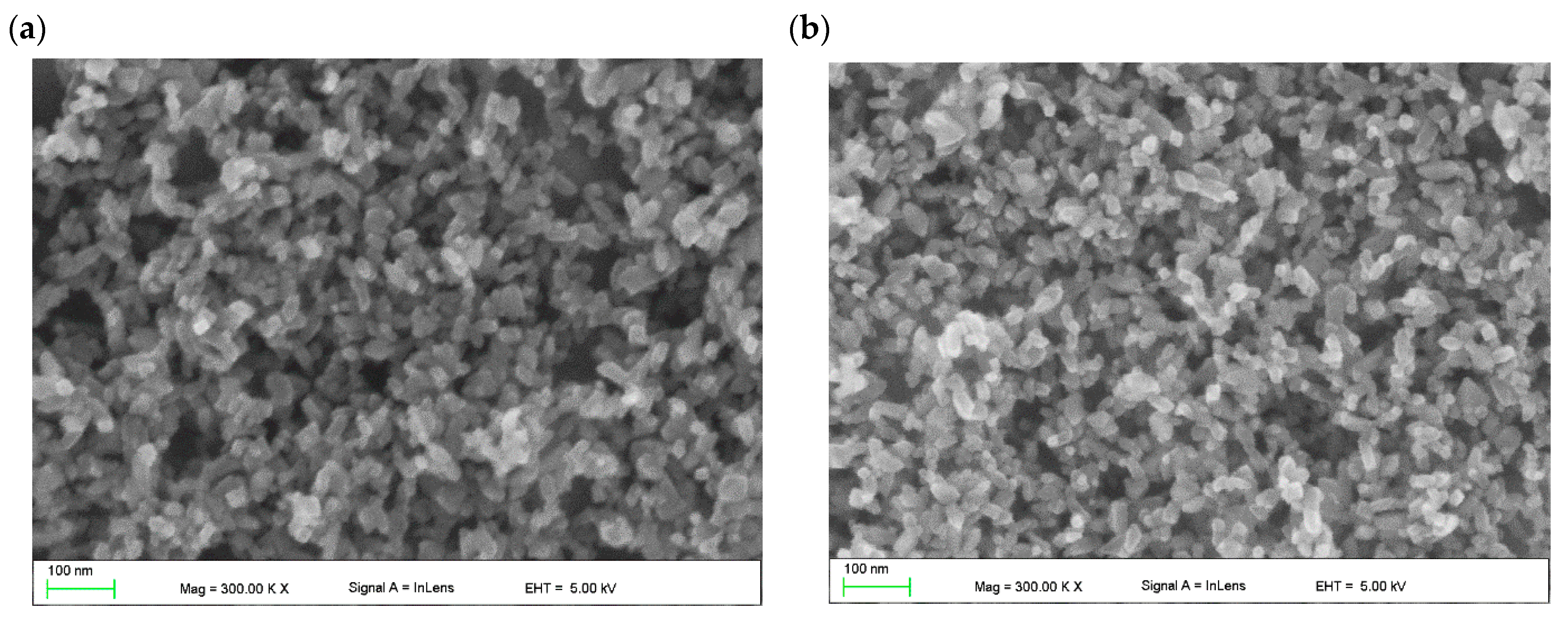 Molecules 28 05656 g002 Molecules 28 05656 g002