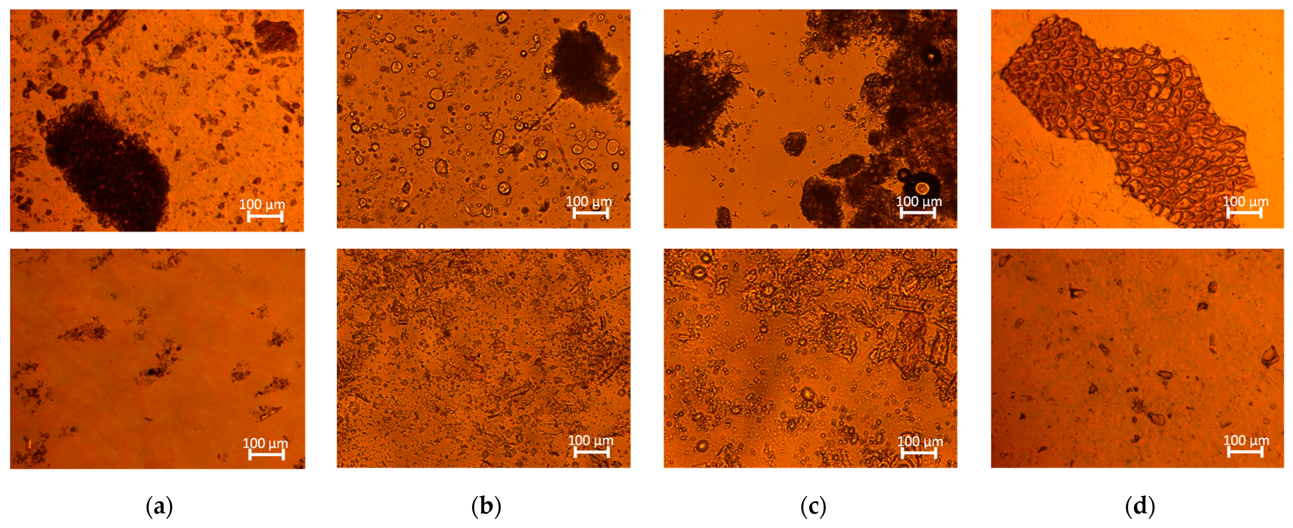 Molecules 28 05657 g007 Molecules 28 05657 g007