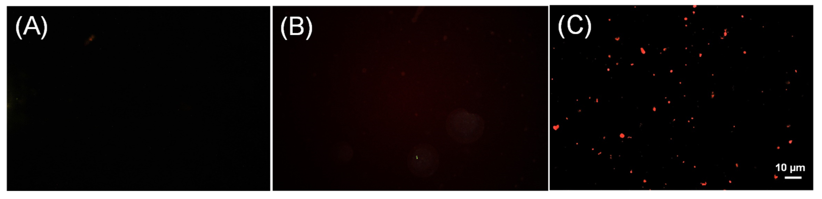 Molecules 28 05665 g005 Molecules 28 05665 g005