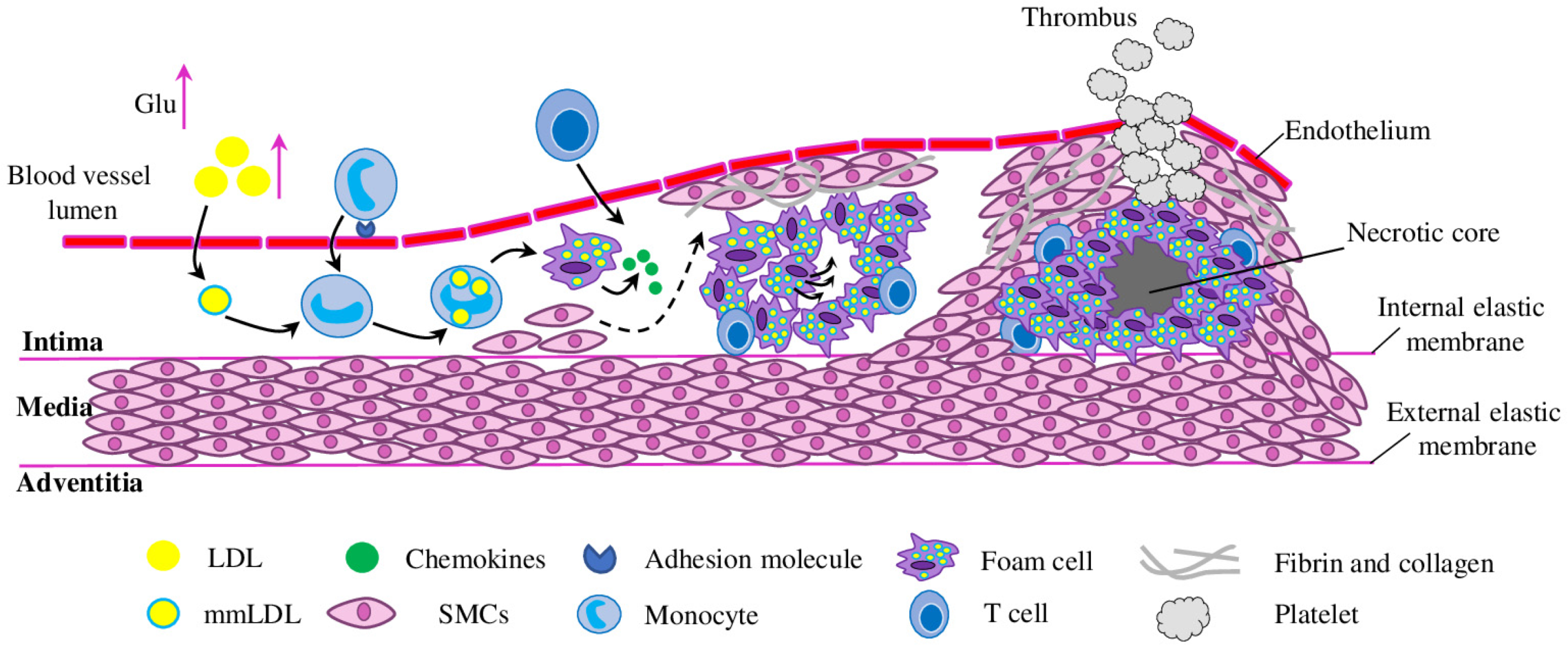 Molecules 28 05673 g001