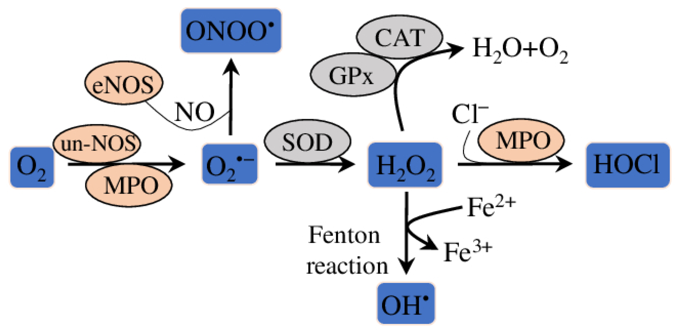 Molecules 28 05673 g004
