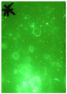 Molecules 28 05687 i001 Molecules 28 05687 i001