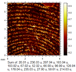 Molecules 28 05687 i003 Molecules 28 05687 i003