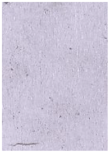 Molecules 28 05687 i009 Molecules 28 05687 i009