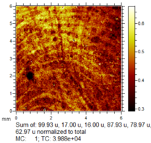 Molecules 28 05687 i010 Molecules 28 05687 i010
