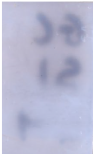 Molecules 28 05687 i011 Molecules 28 05687 i011