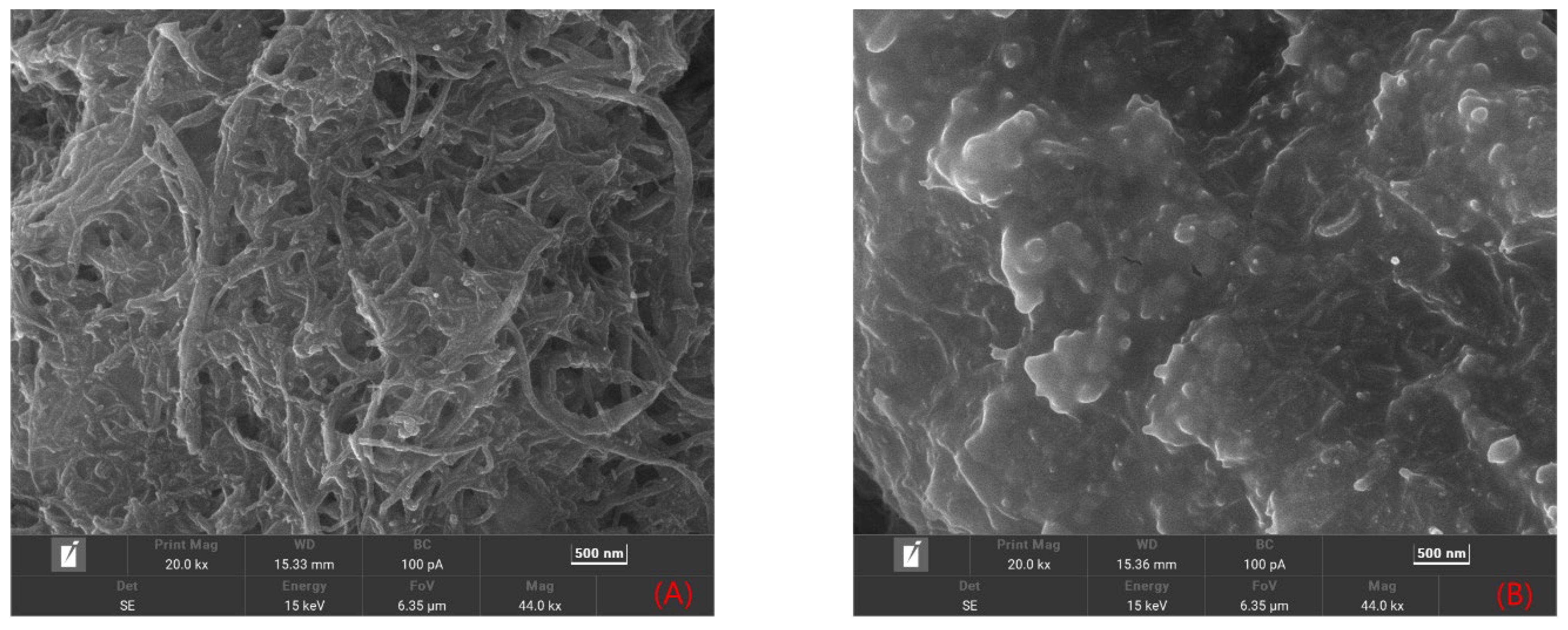 Molecules 28 05701 g001a