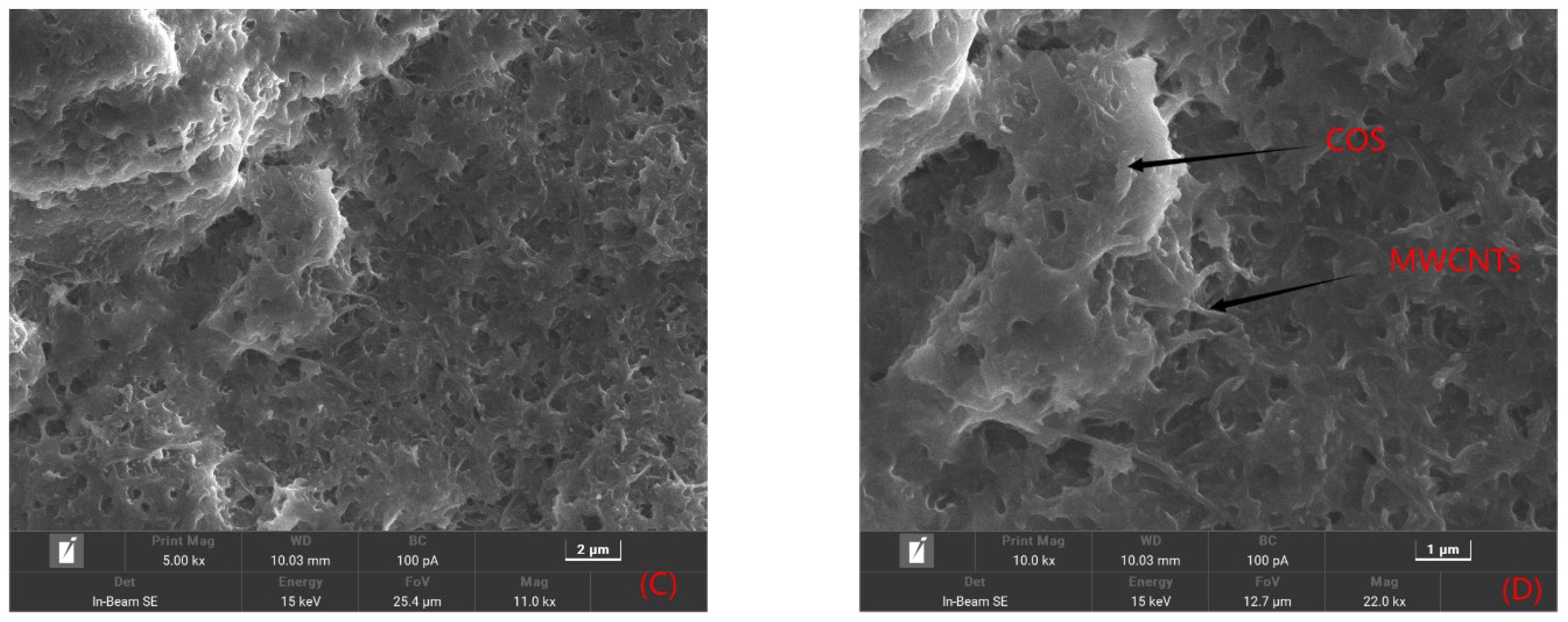 Molecules 28 05701 g001b