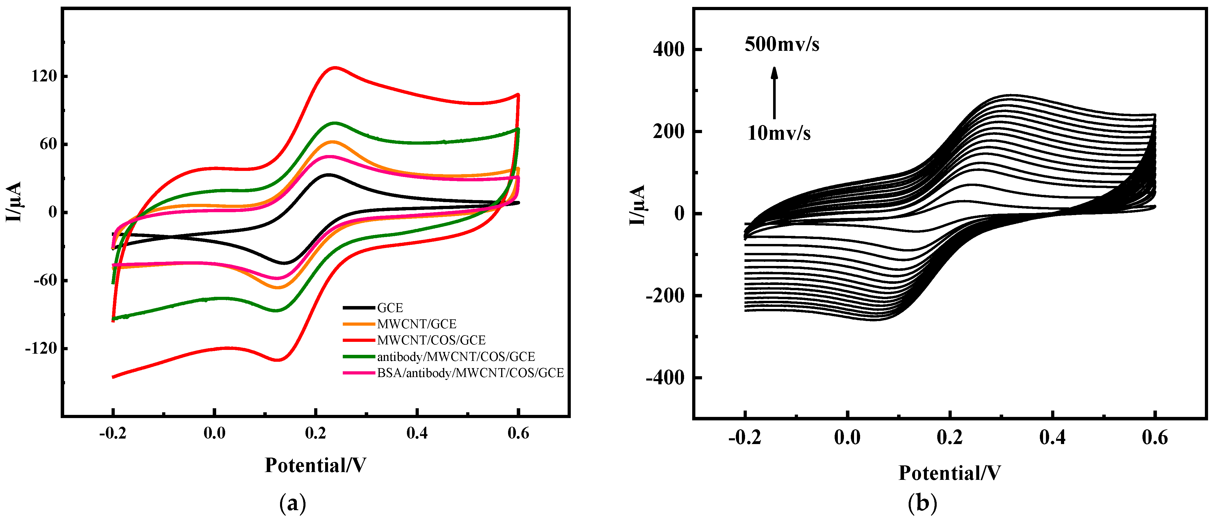 Molecules 28 05701 g002