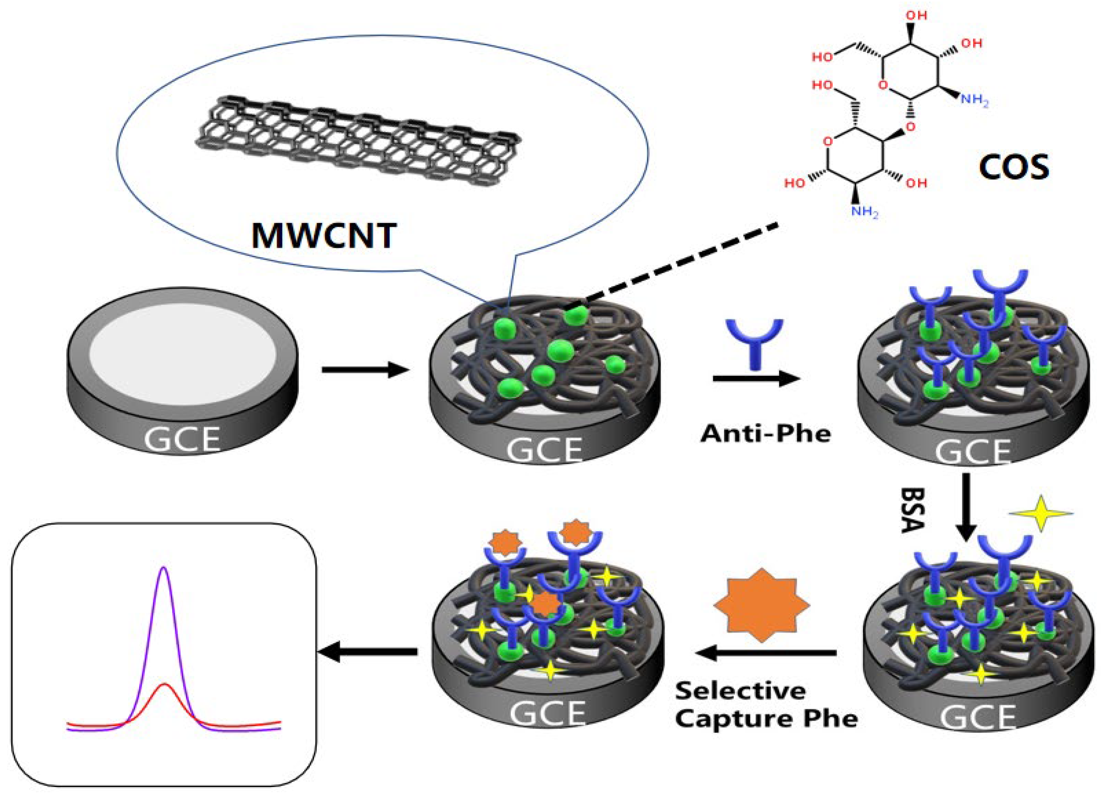 Molecules 28 05701 g009