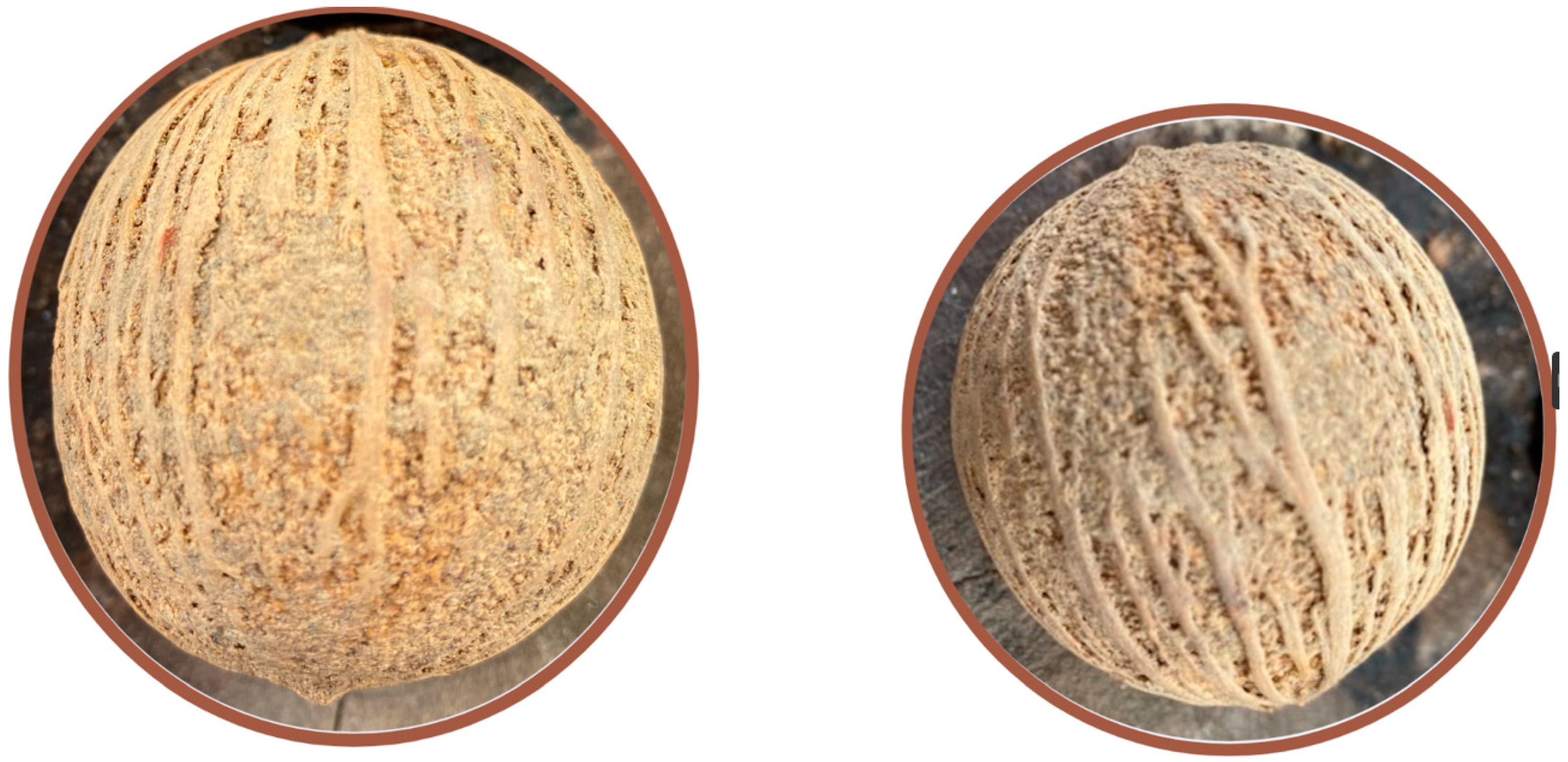 Molecules 28 05717 g001