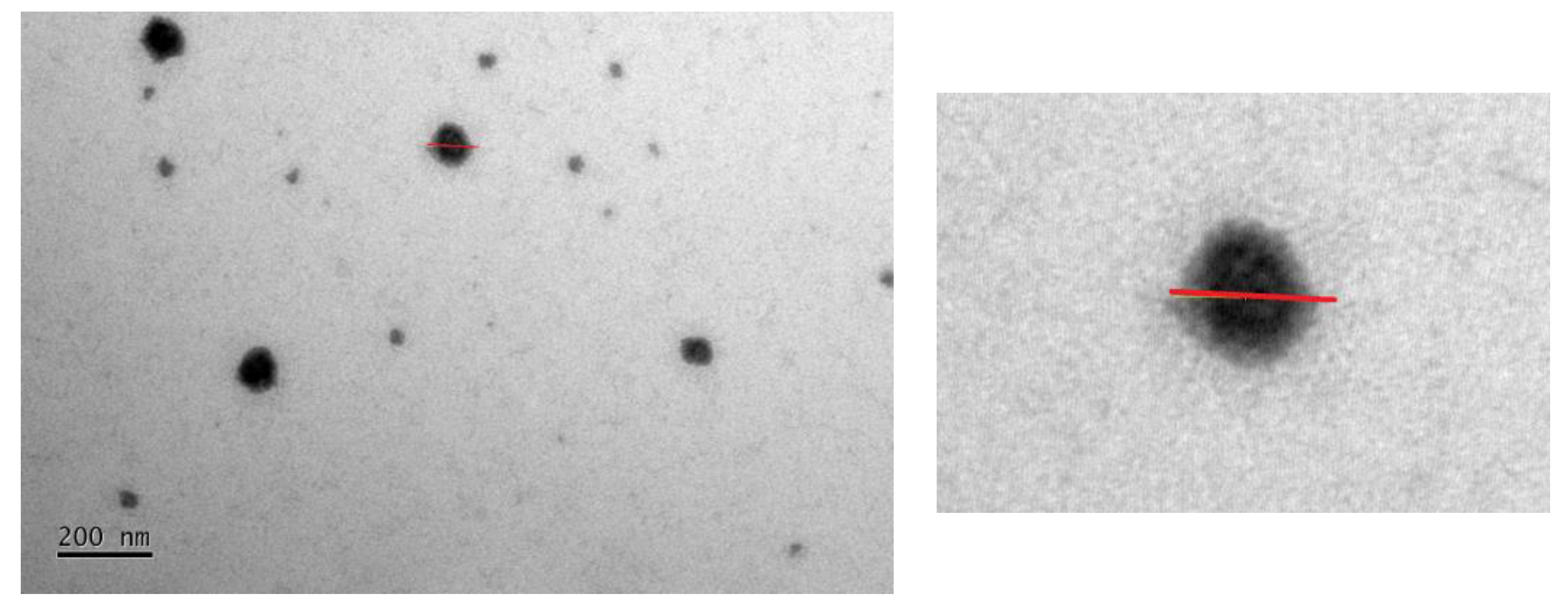 Molecules 28 05725 g002