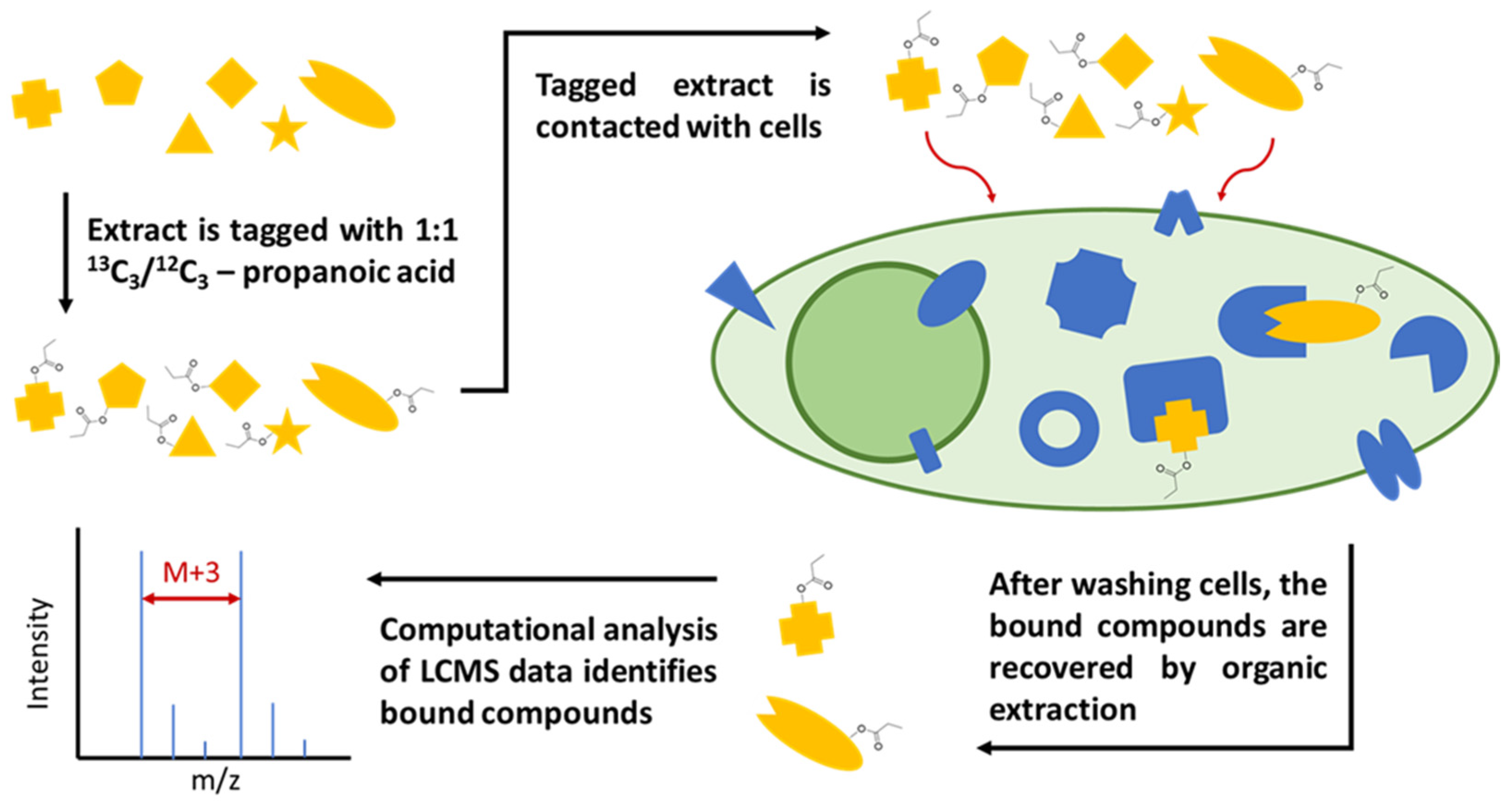 Molecules 28 05726 g001 Molecules 28 05726 g001