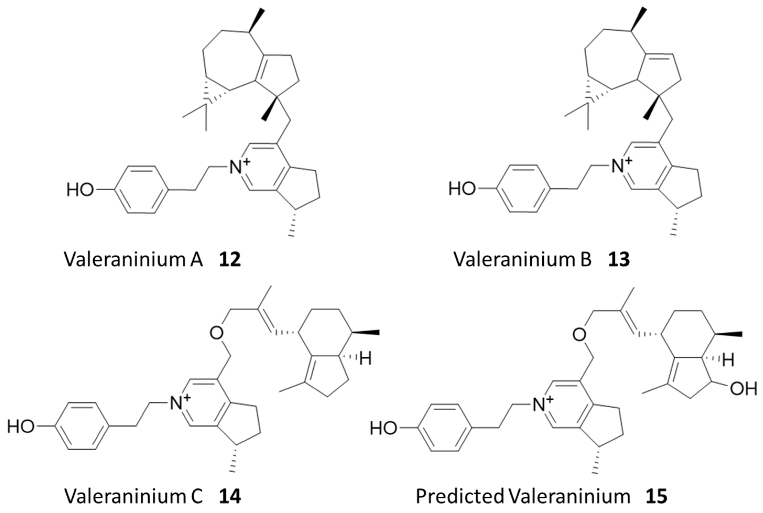 Molecules 28 05726 g004 Molecules 28 05726 g004