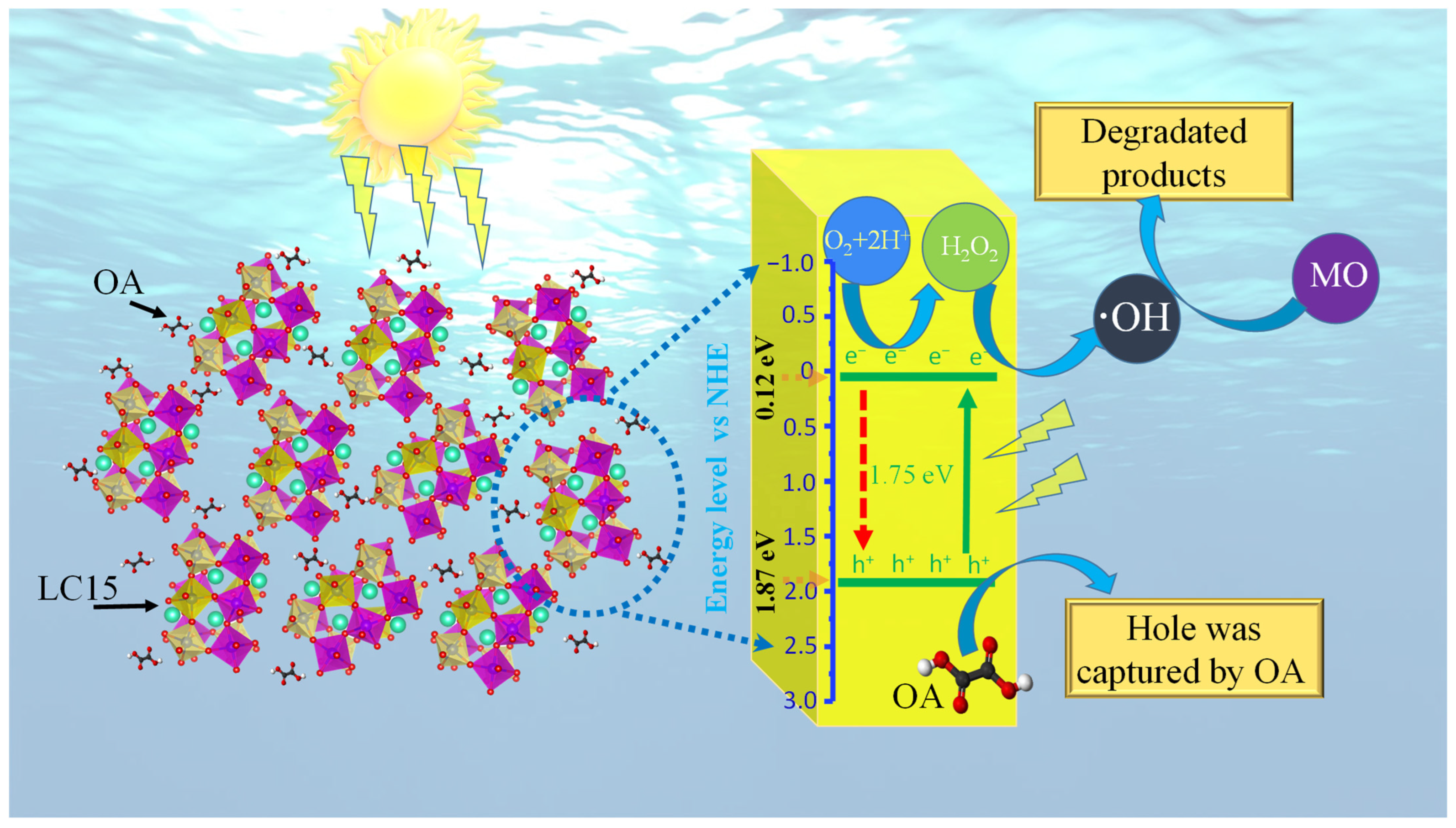 Molecules 28 05730 g006