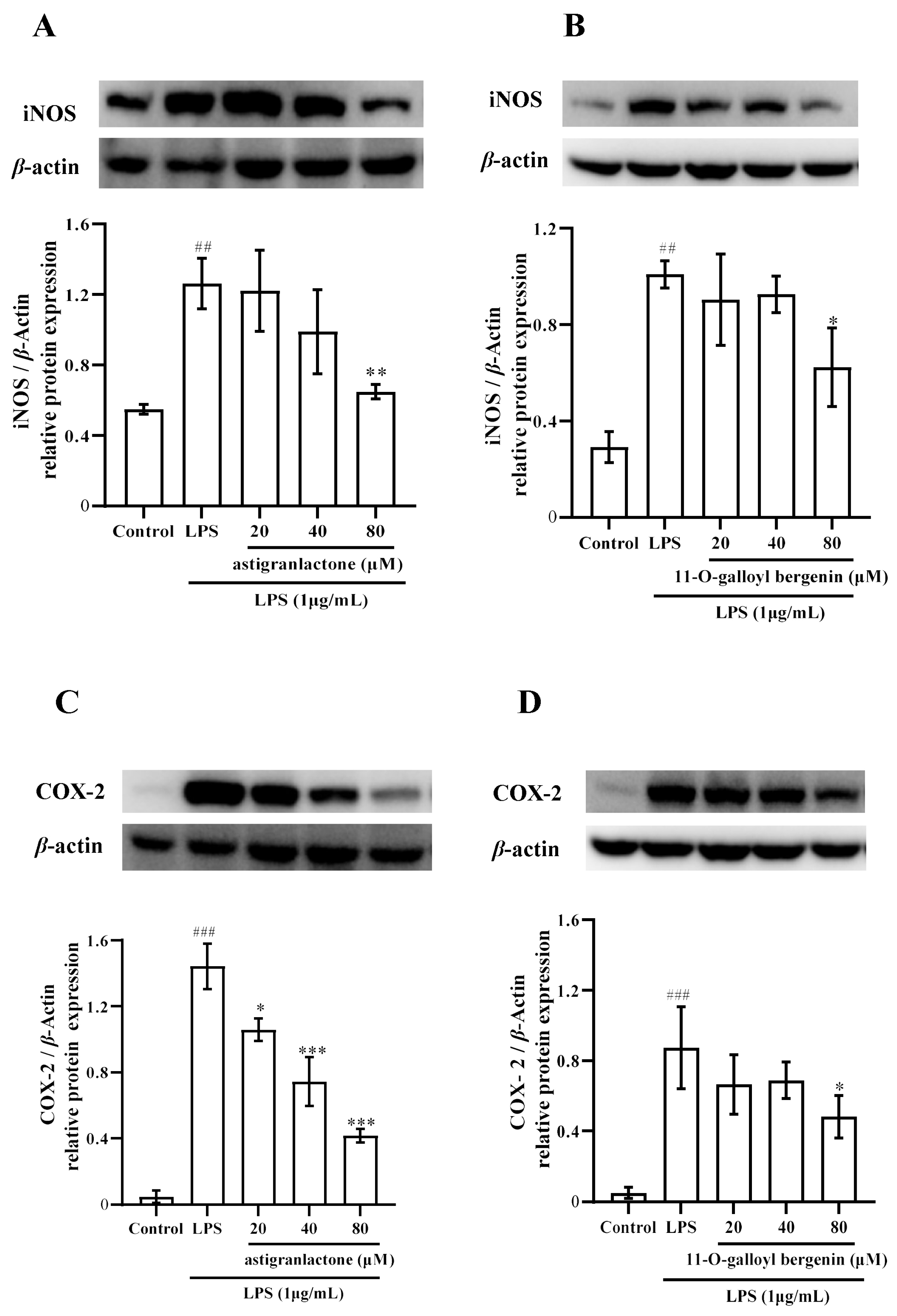 Molecules 28 05731 g004