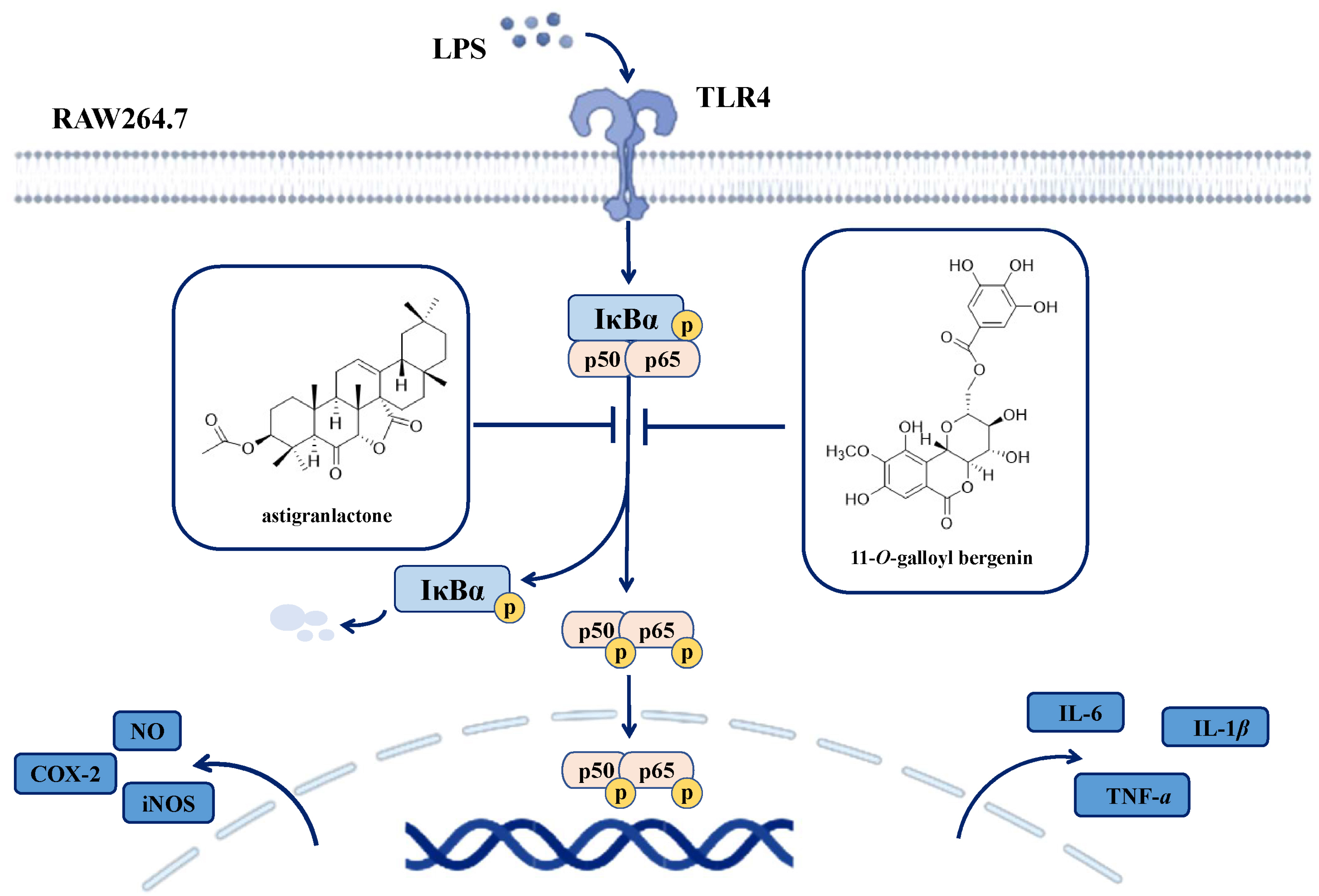 Molecules 28 05731 g007