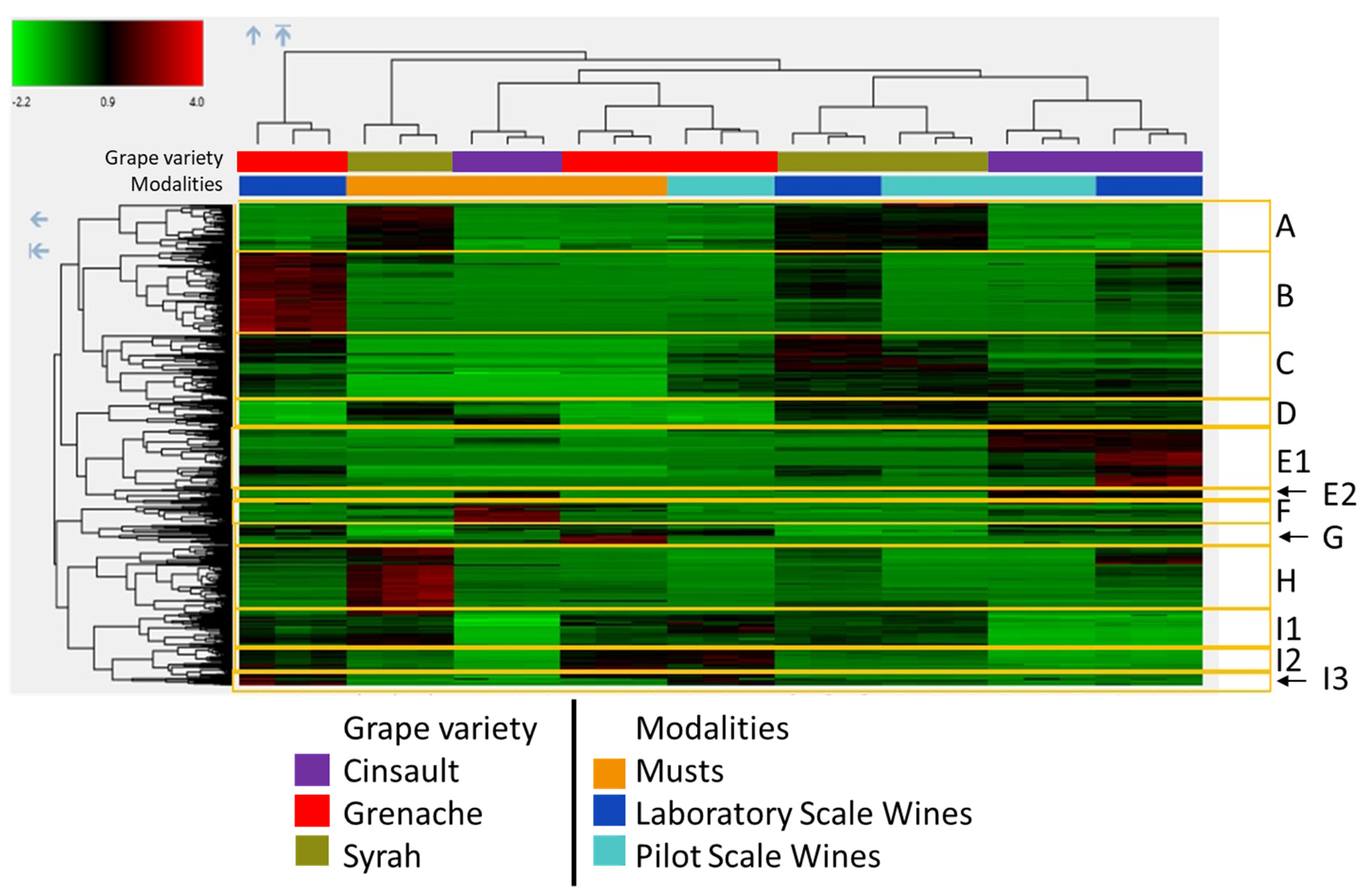 Molecules 28 05748 g004