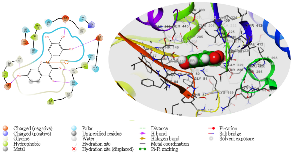 Molecules 28 05752 g004