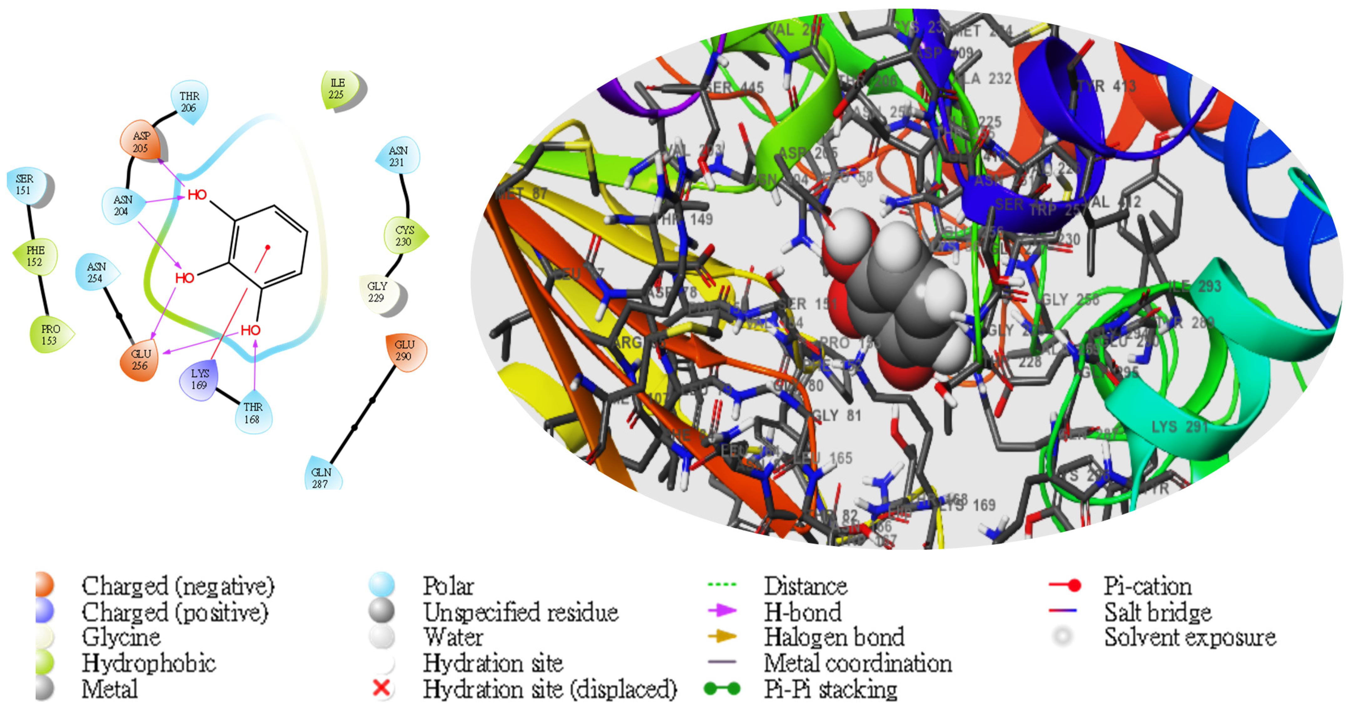 Molecules 28 05752 g005
