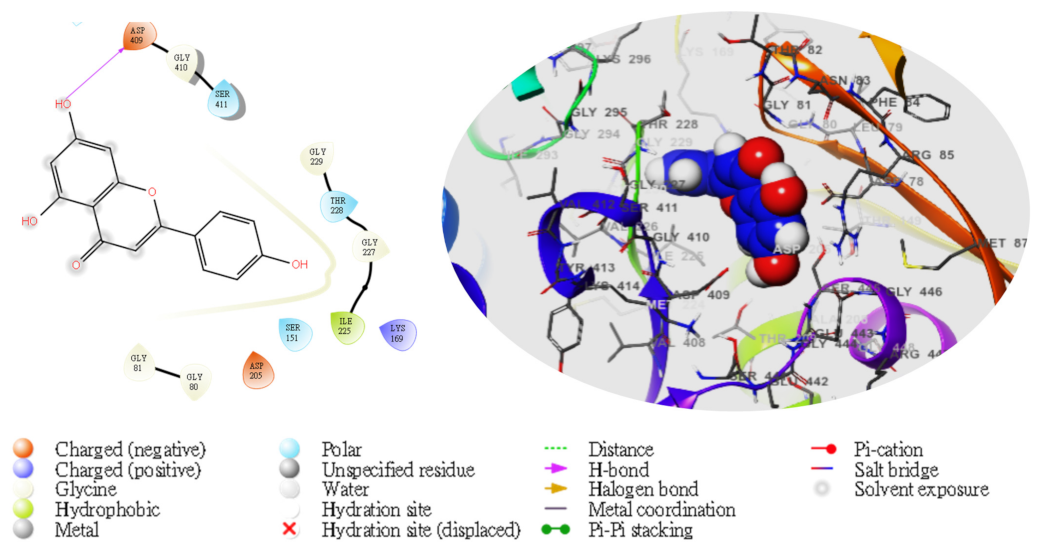 Molecules 28 05752 g007