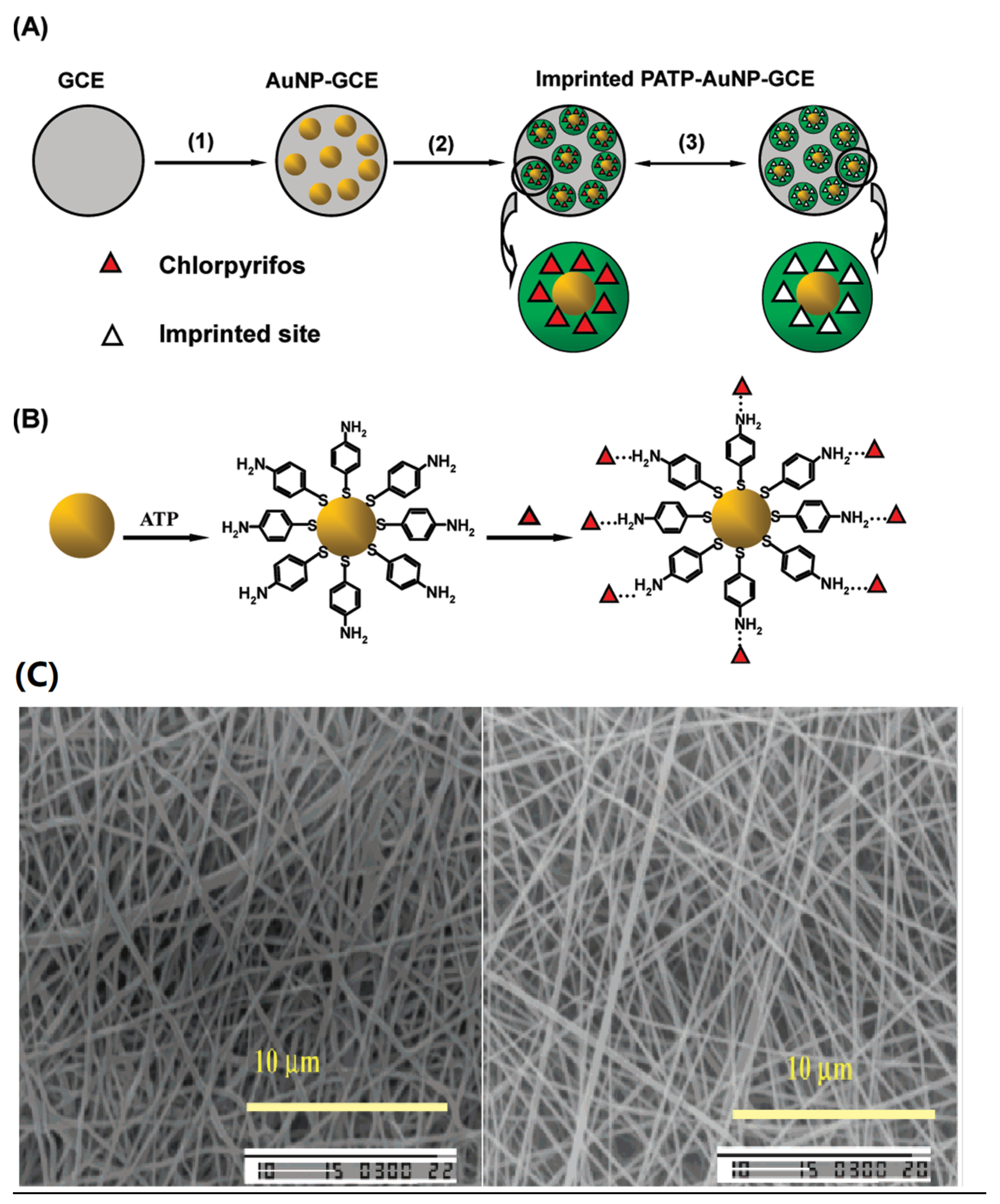 Molecules 28 05764 g002