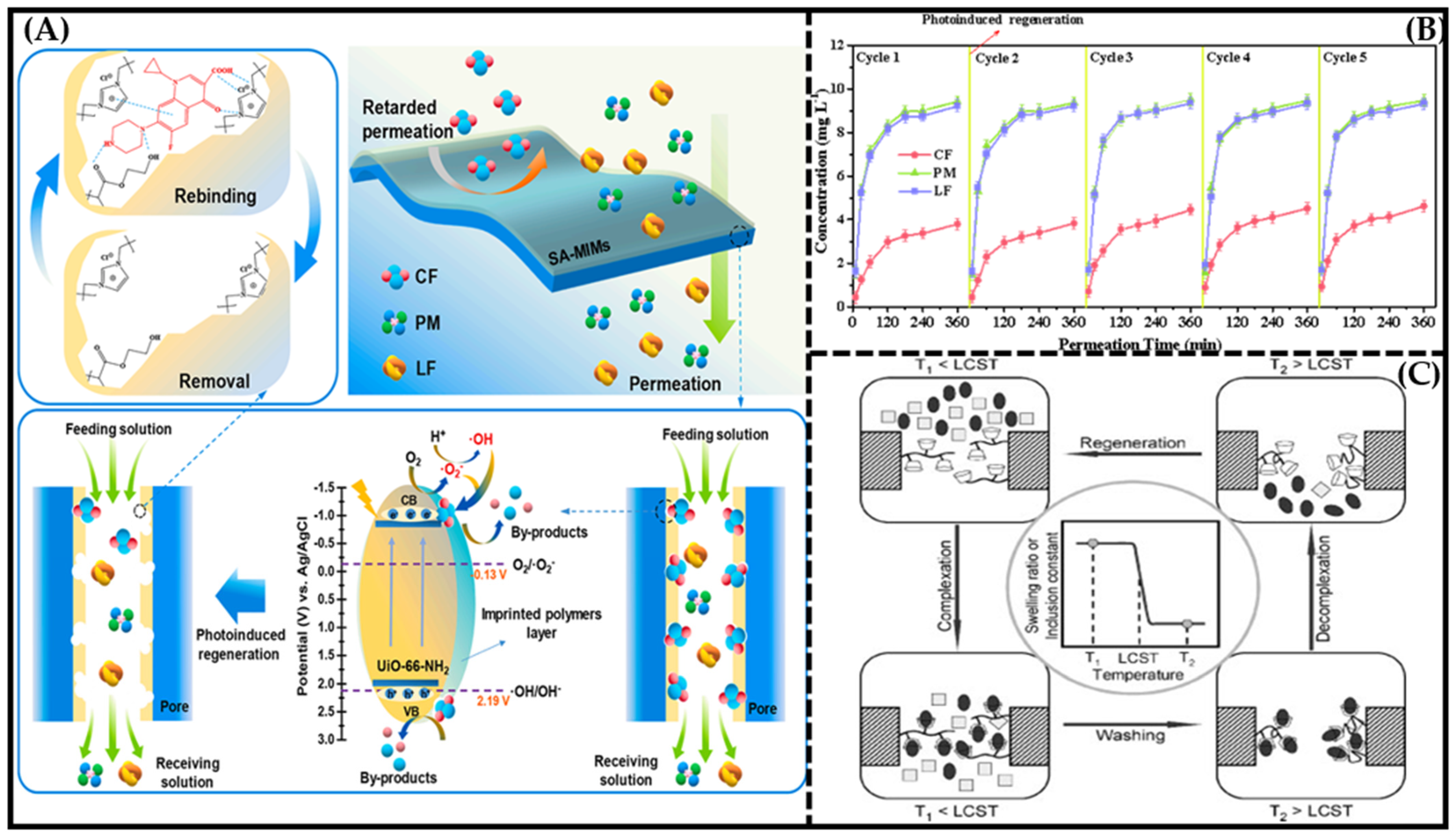 Molecules 28 05764 g004