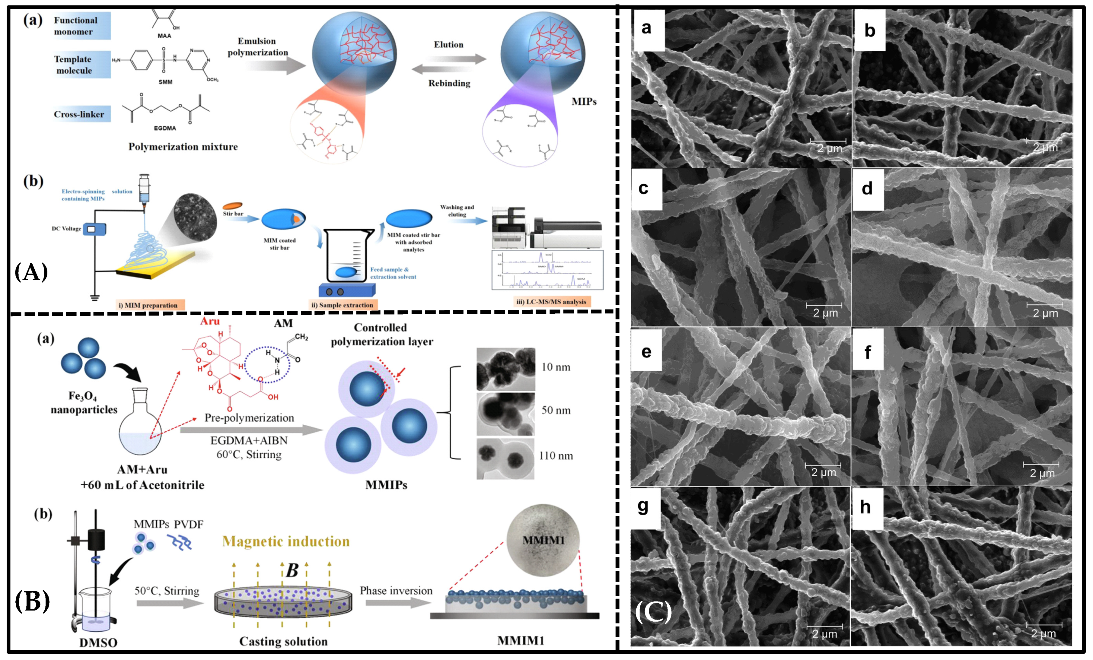 Molecules 28 05764 g005