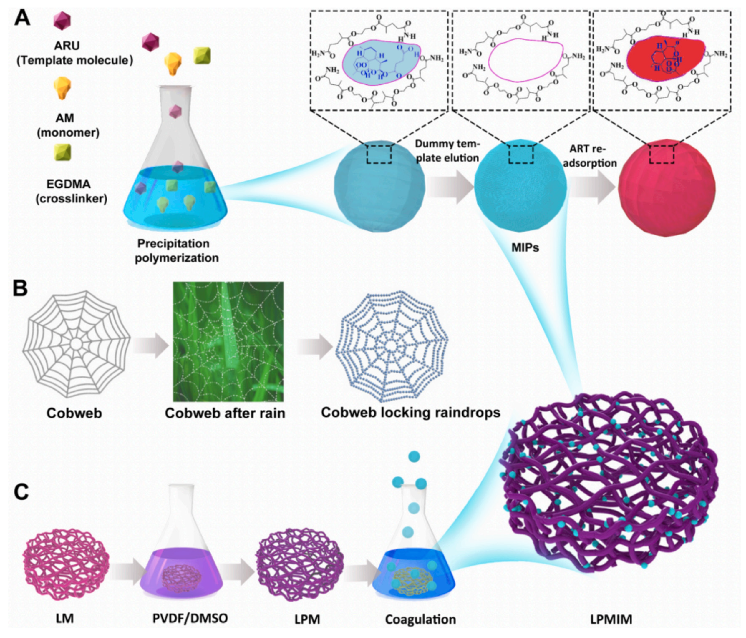 Molecules 28 05764 g007