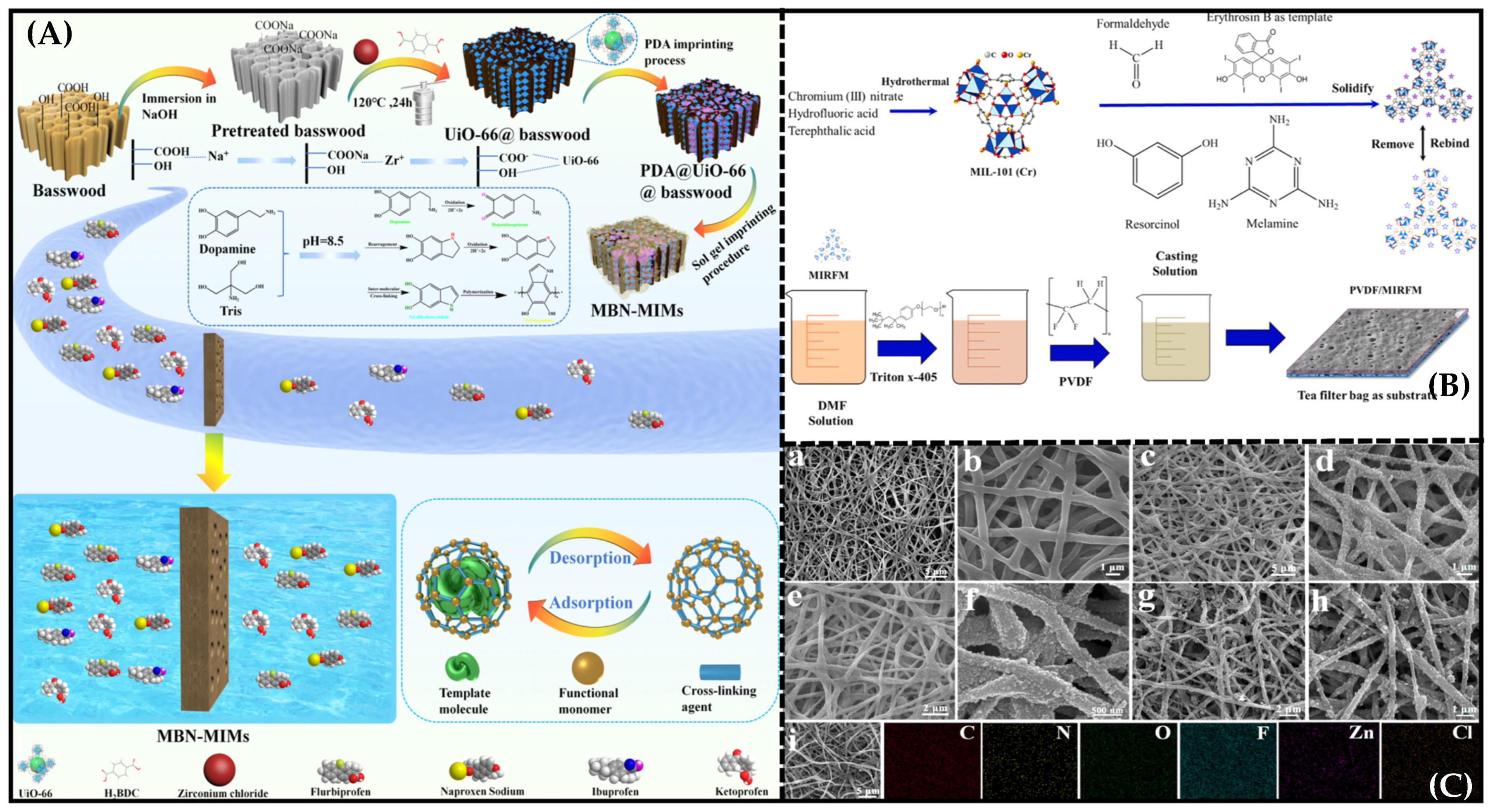 Molecules 28 05764 g008