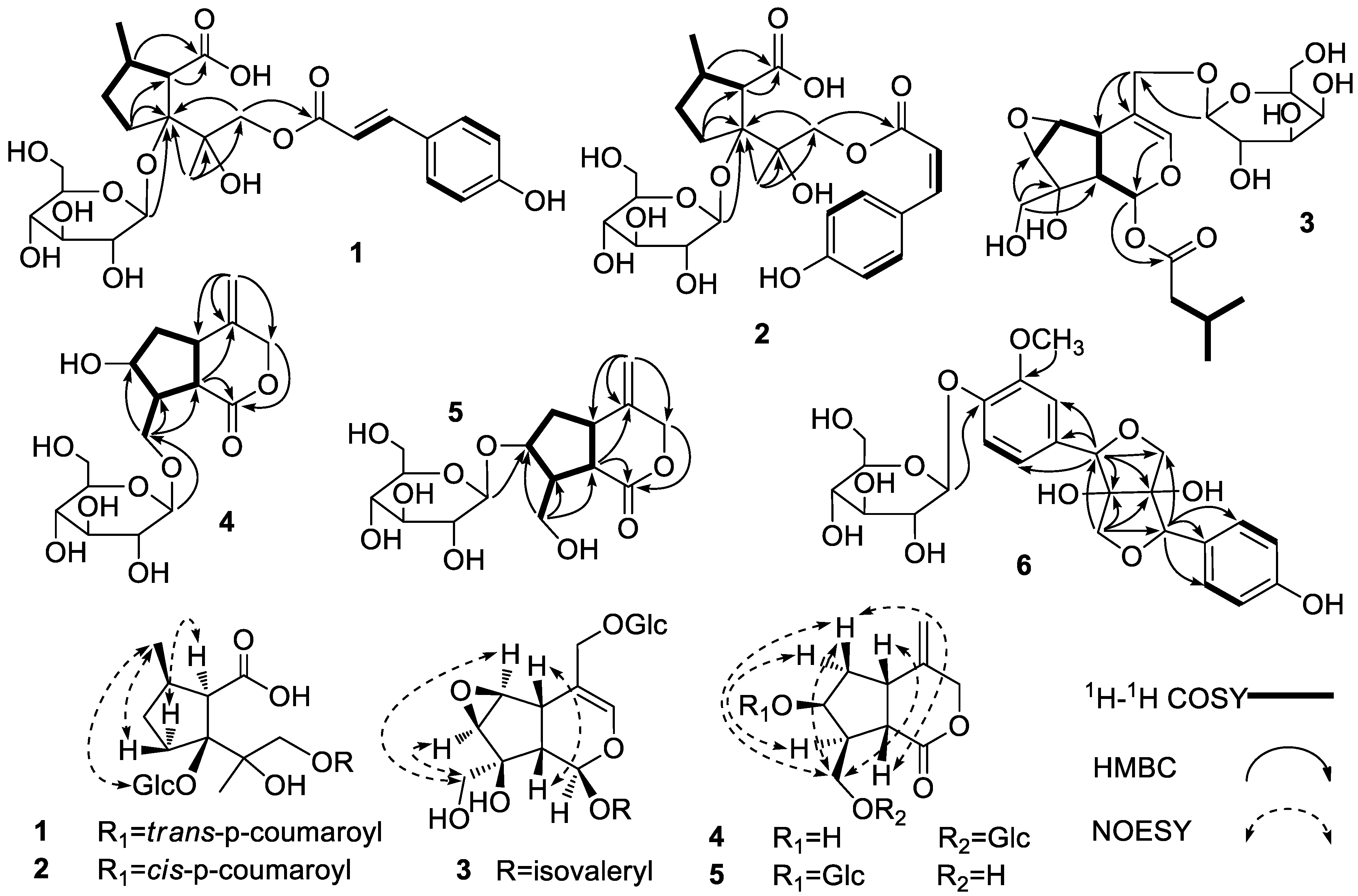 Molecules 28 05793 g001 Molecules 28 05793 g001