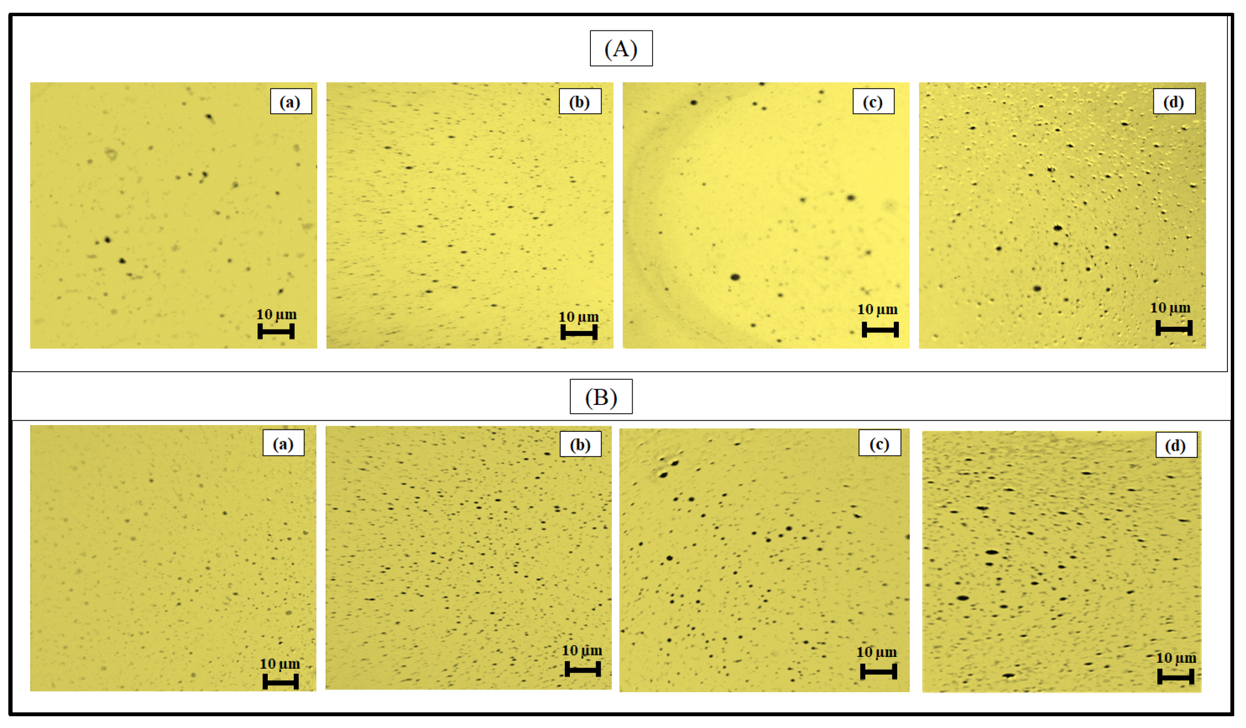 Molecules 28 05794 g004