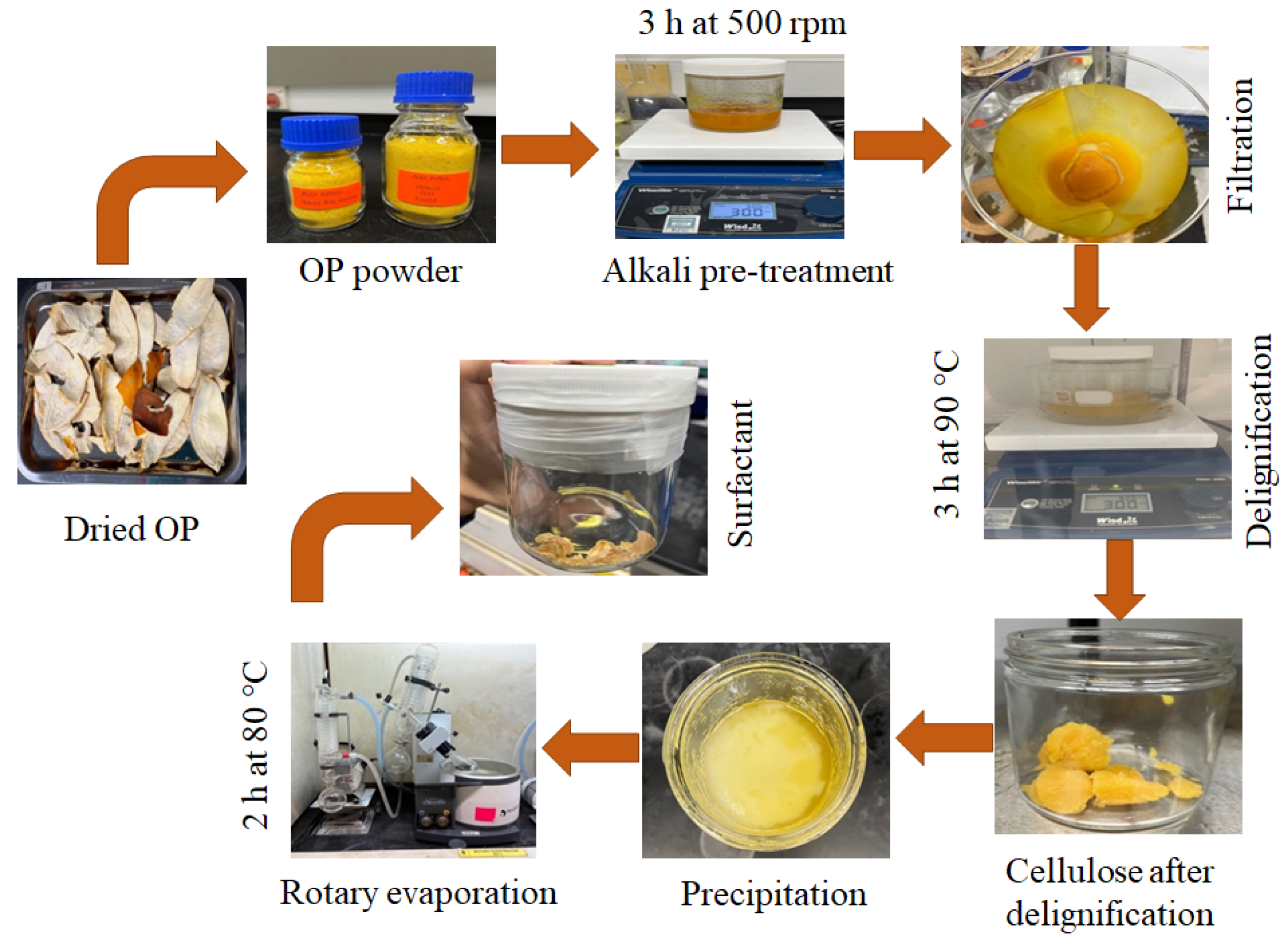 Molecules 28 05794 g005
