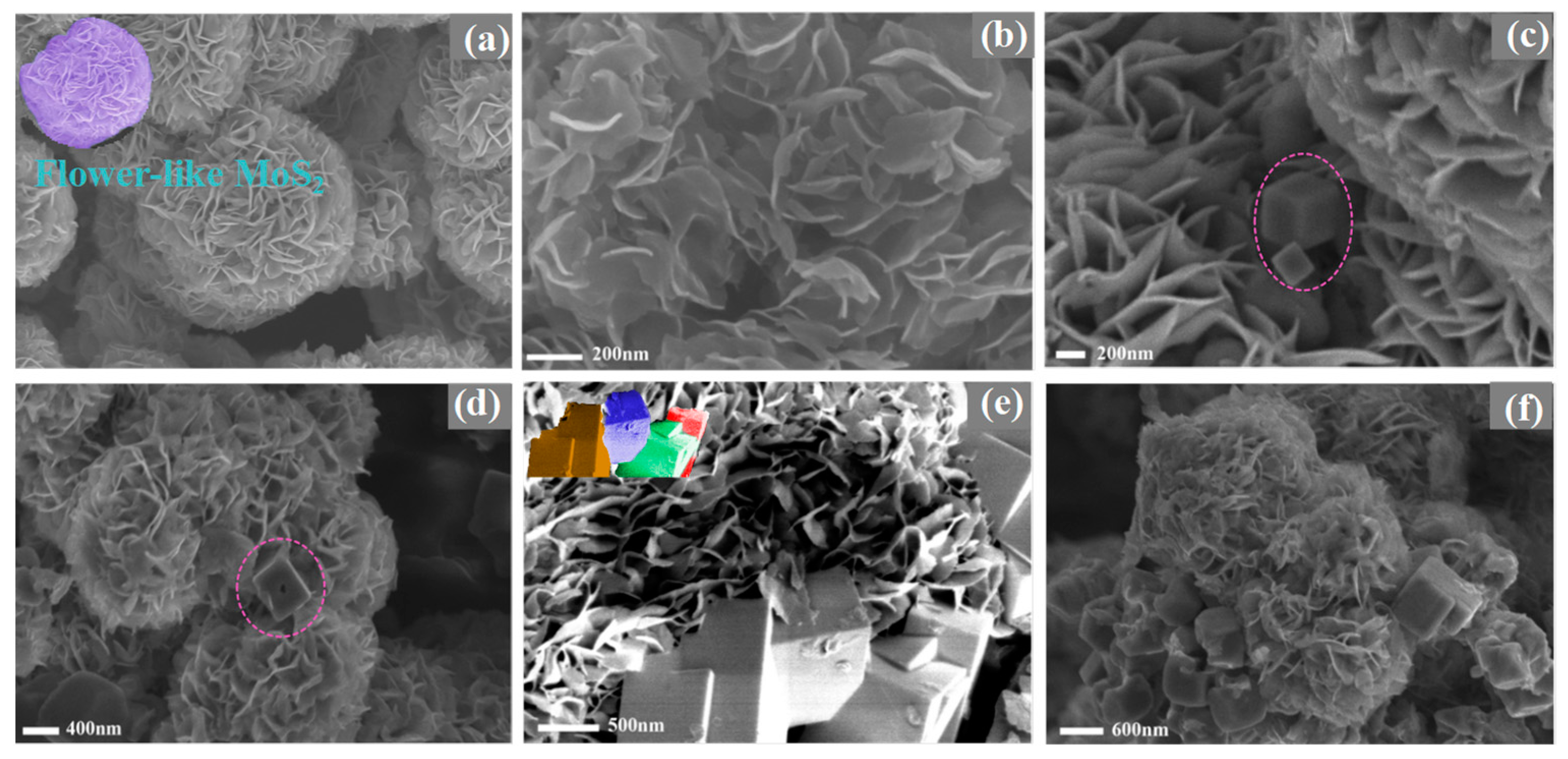 Molecules 28 05796 g002