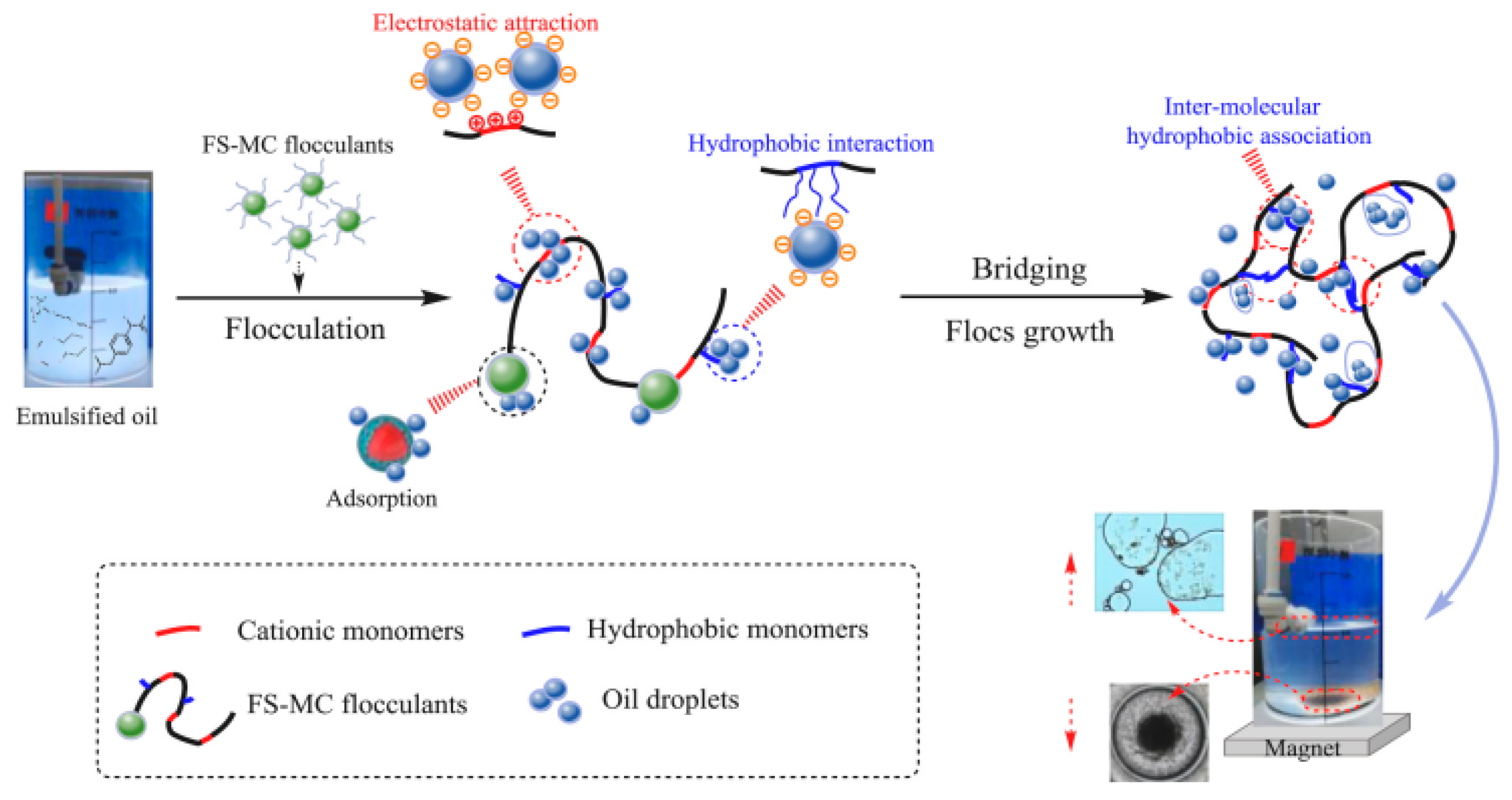 Molecules 28 05799 g005
