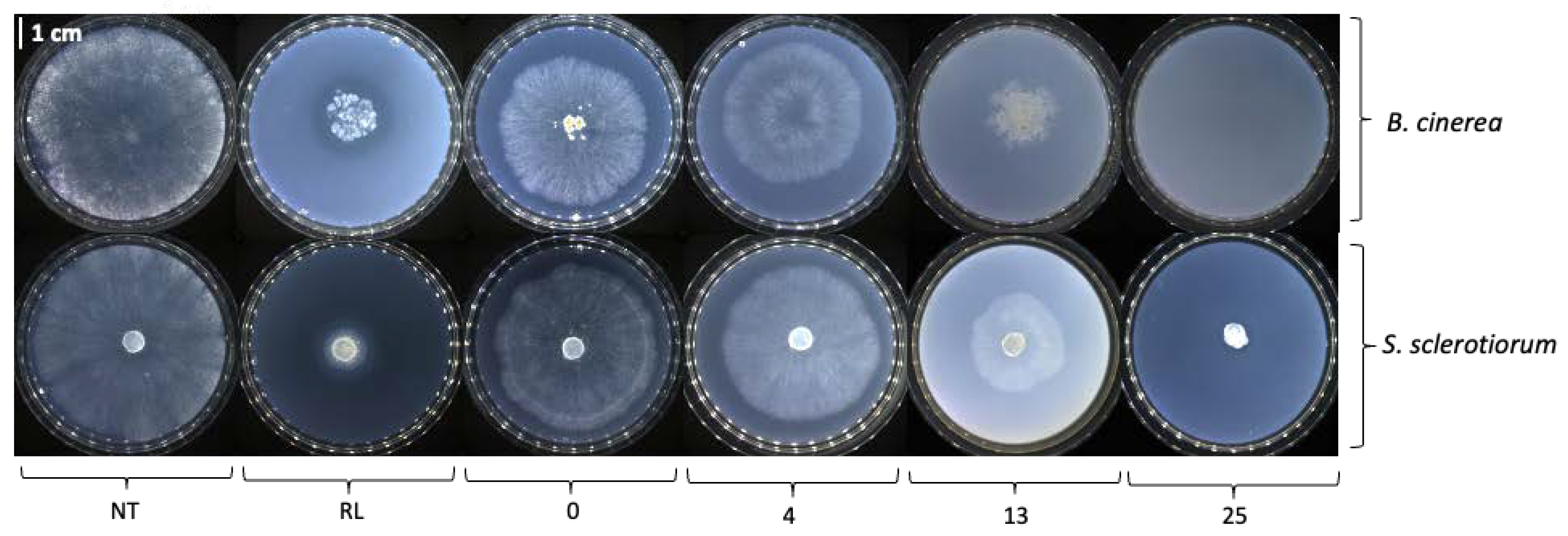 Molecules 28 05803 g0a1 Molecules 28 05803 g0a1