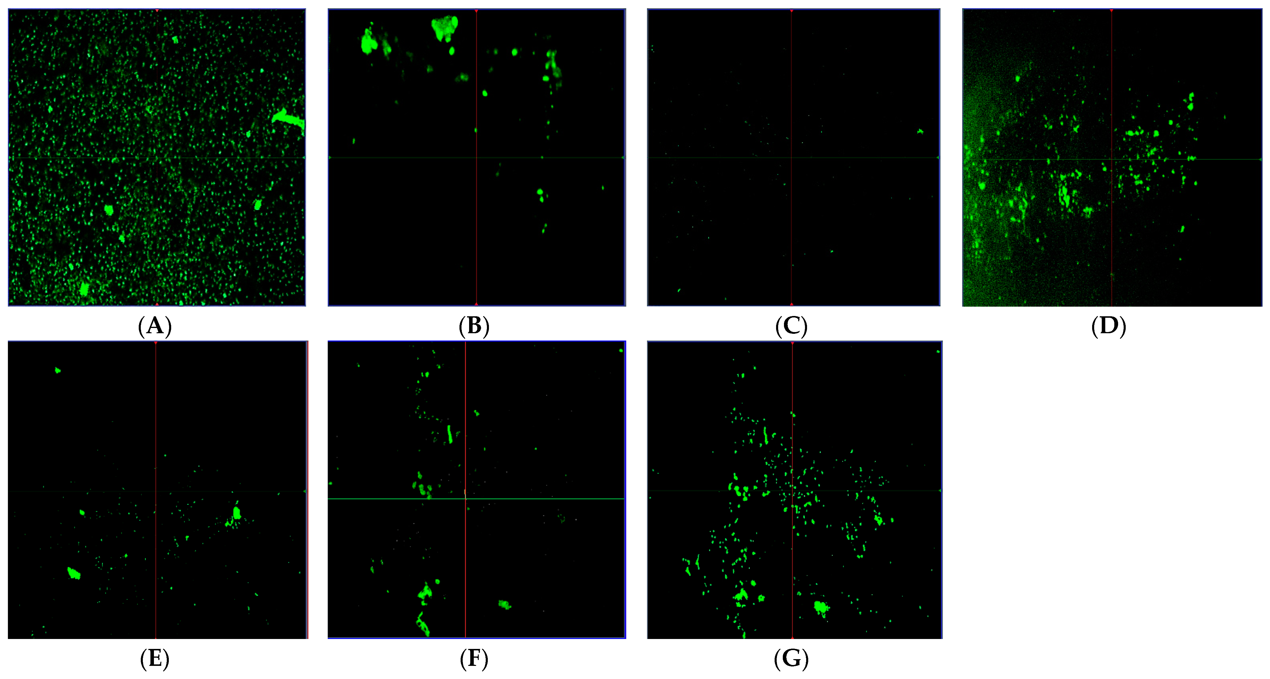 Molecules 28 05812 g004