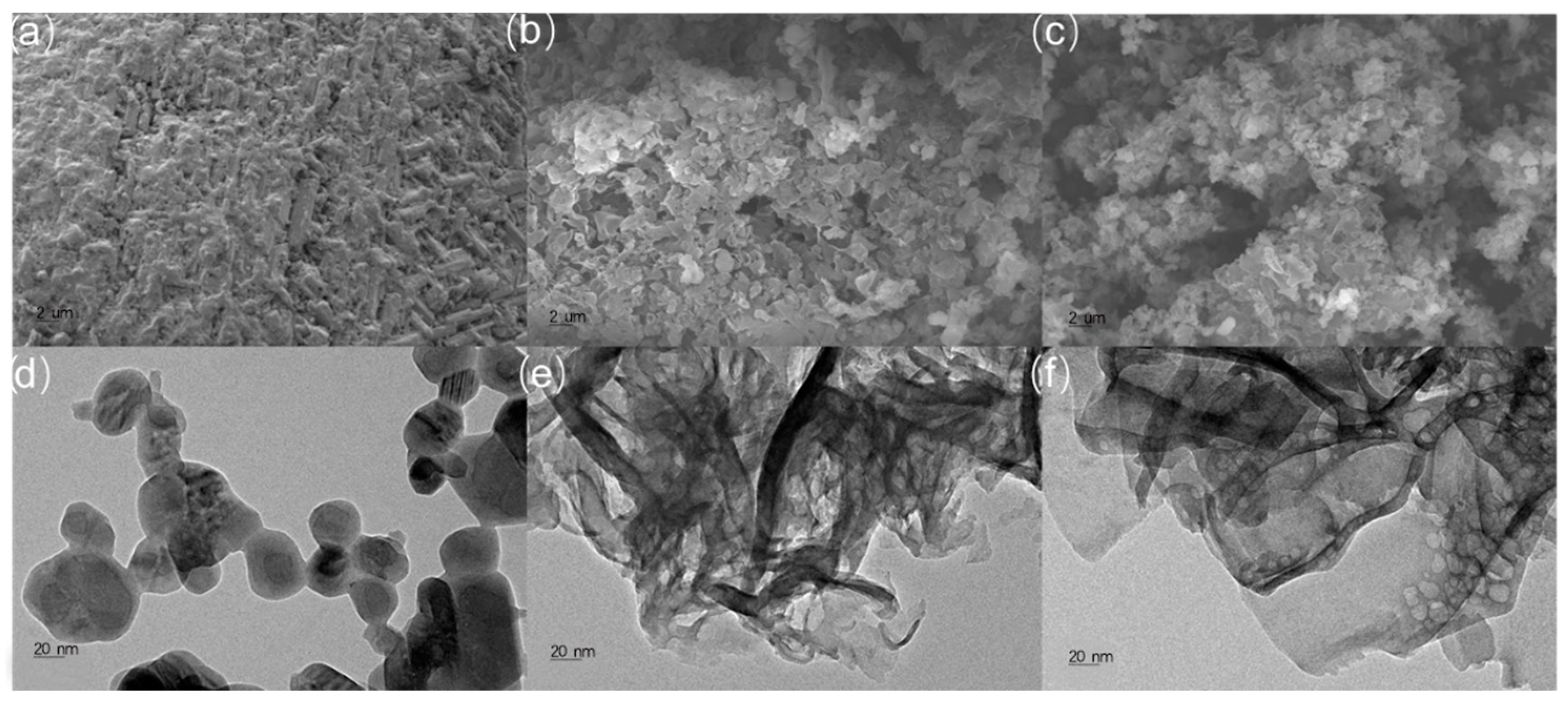 Molecules 28 05815 g002