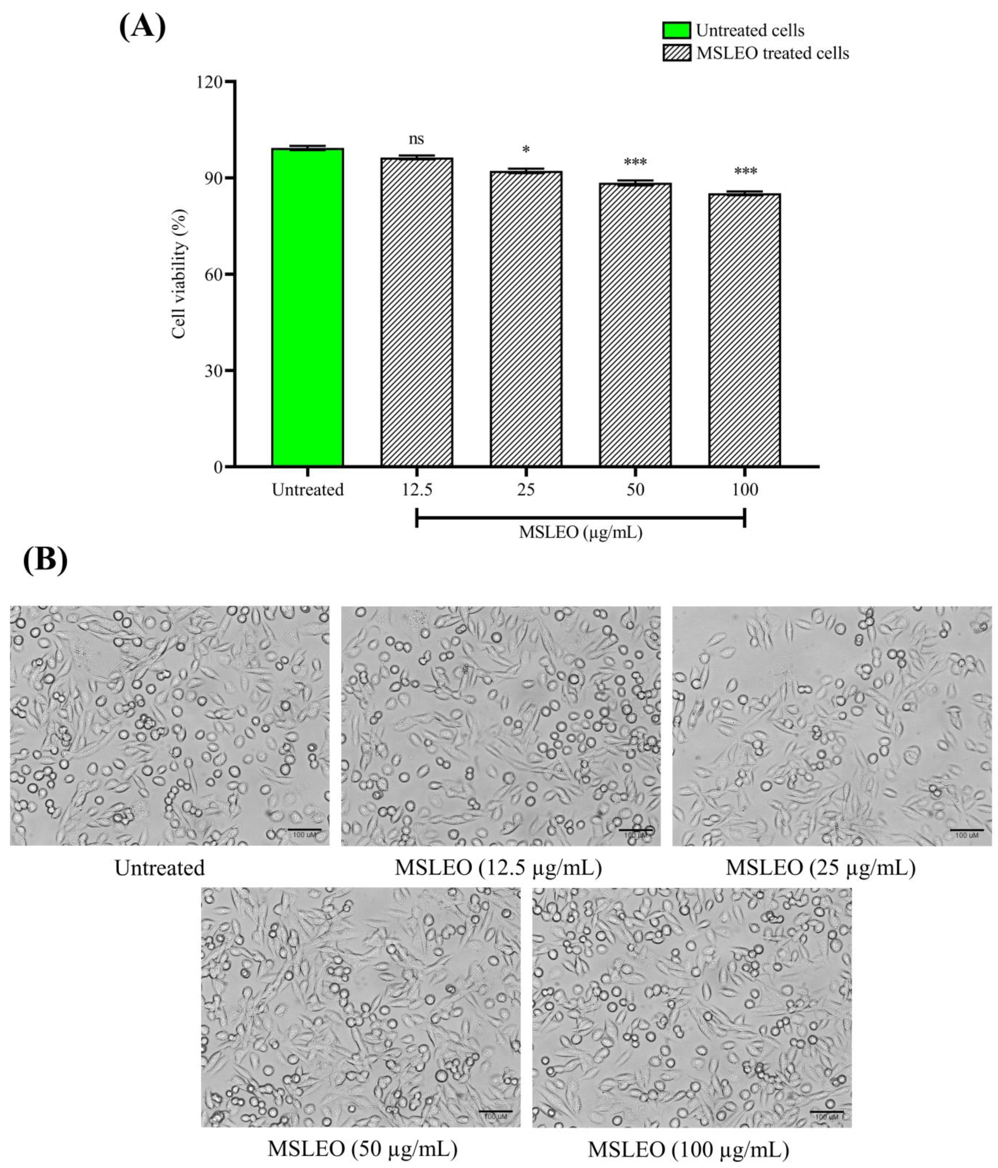 Molecules 28 05817 g001