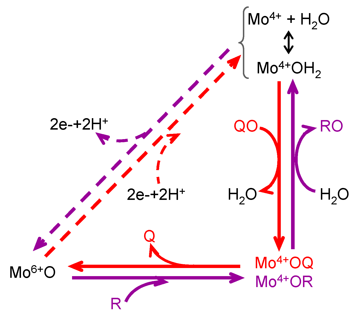 Molecules 28 05819 g002 Molecules 28 05819 g002