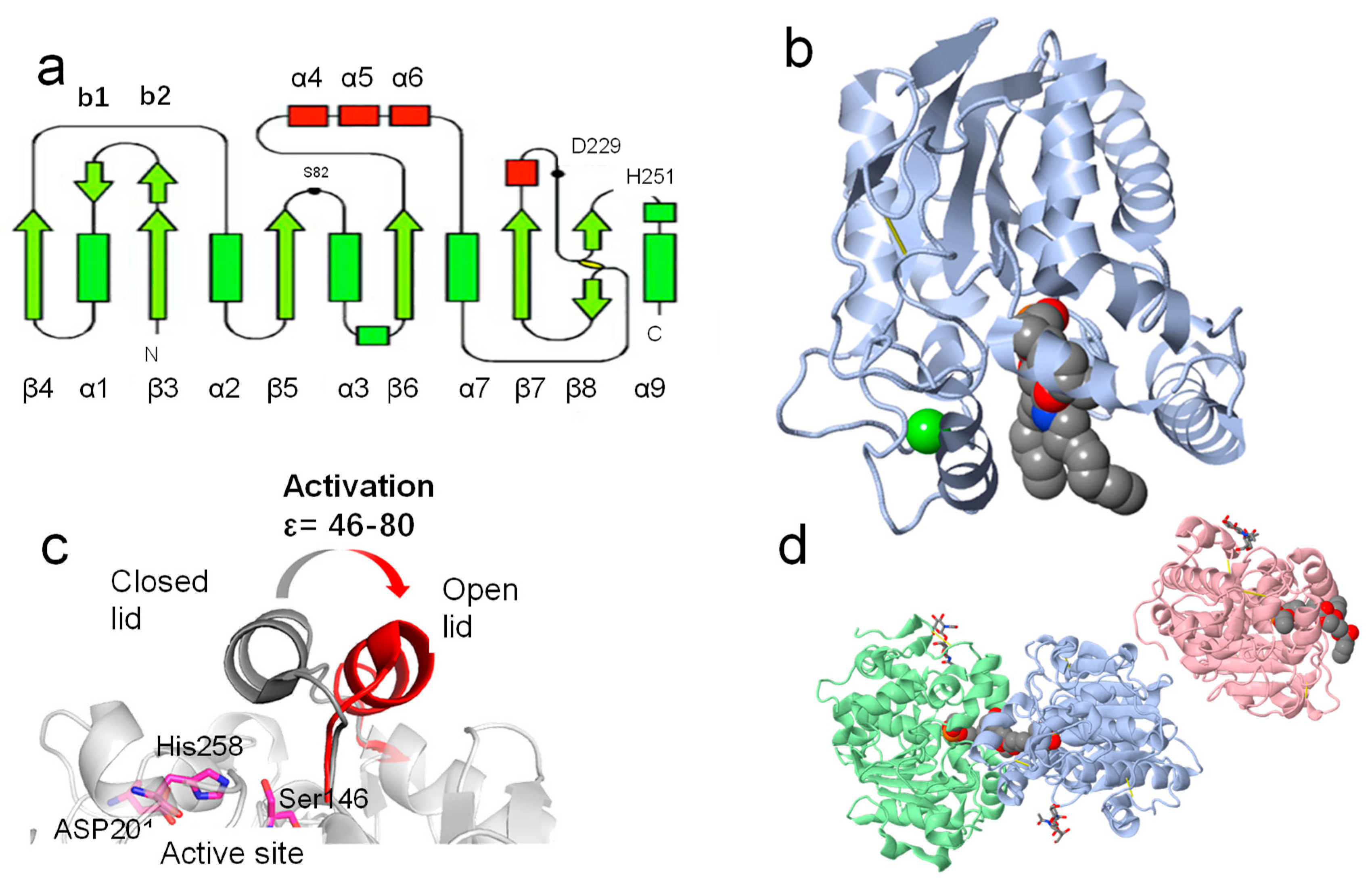 Molecules 28 05848 g005 Molecules 28 05848 g005